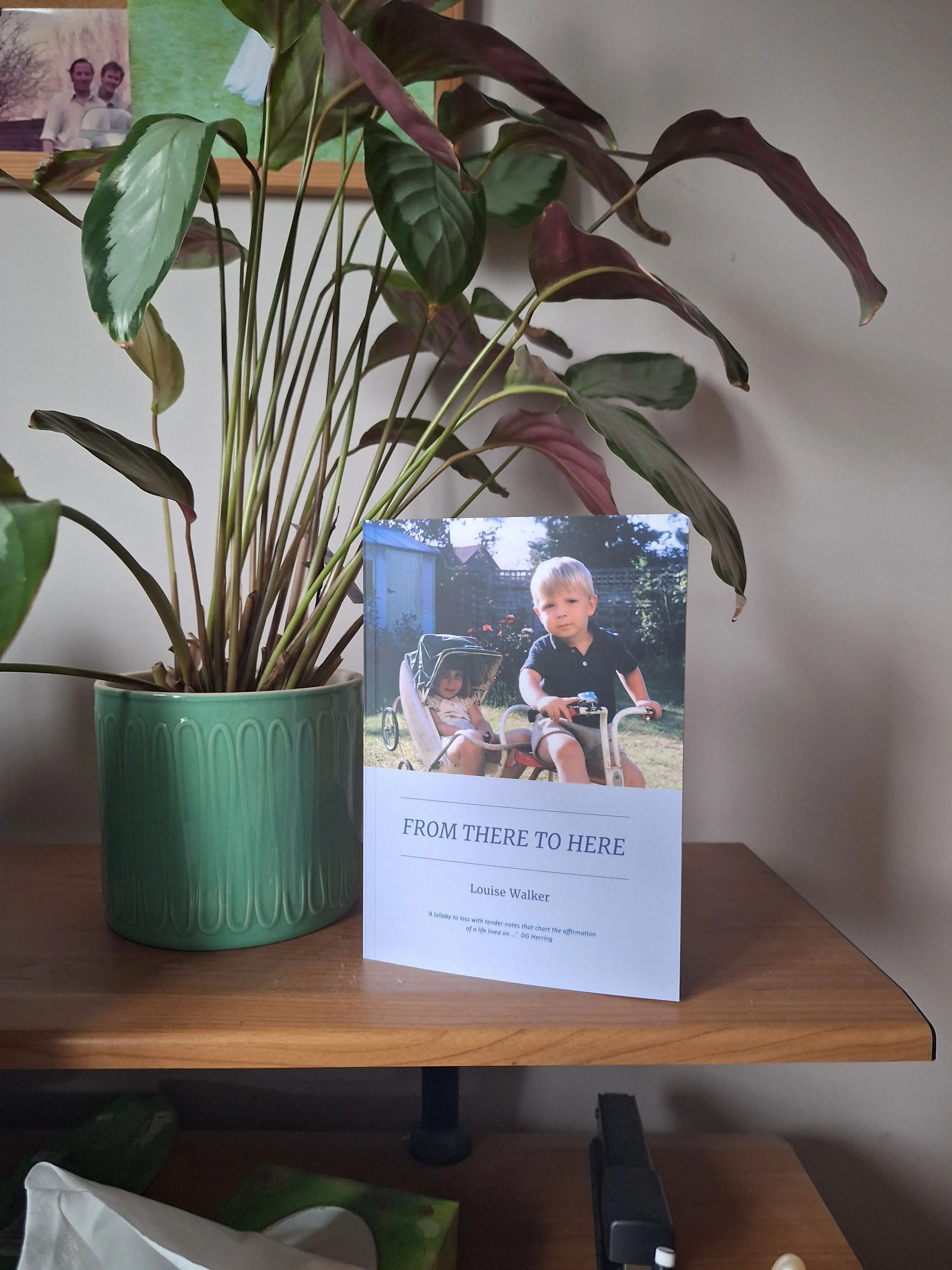 Front cover of the poetry chapbook From There to Here by Louise Walker, Dithering Chaps Press