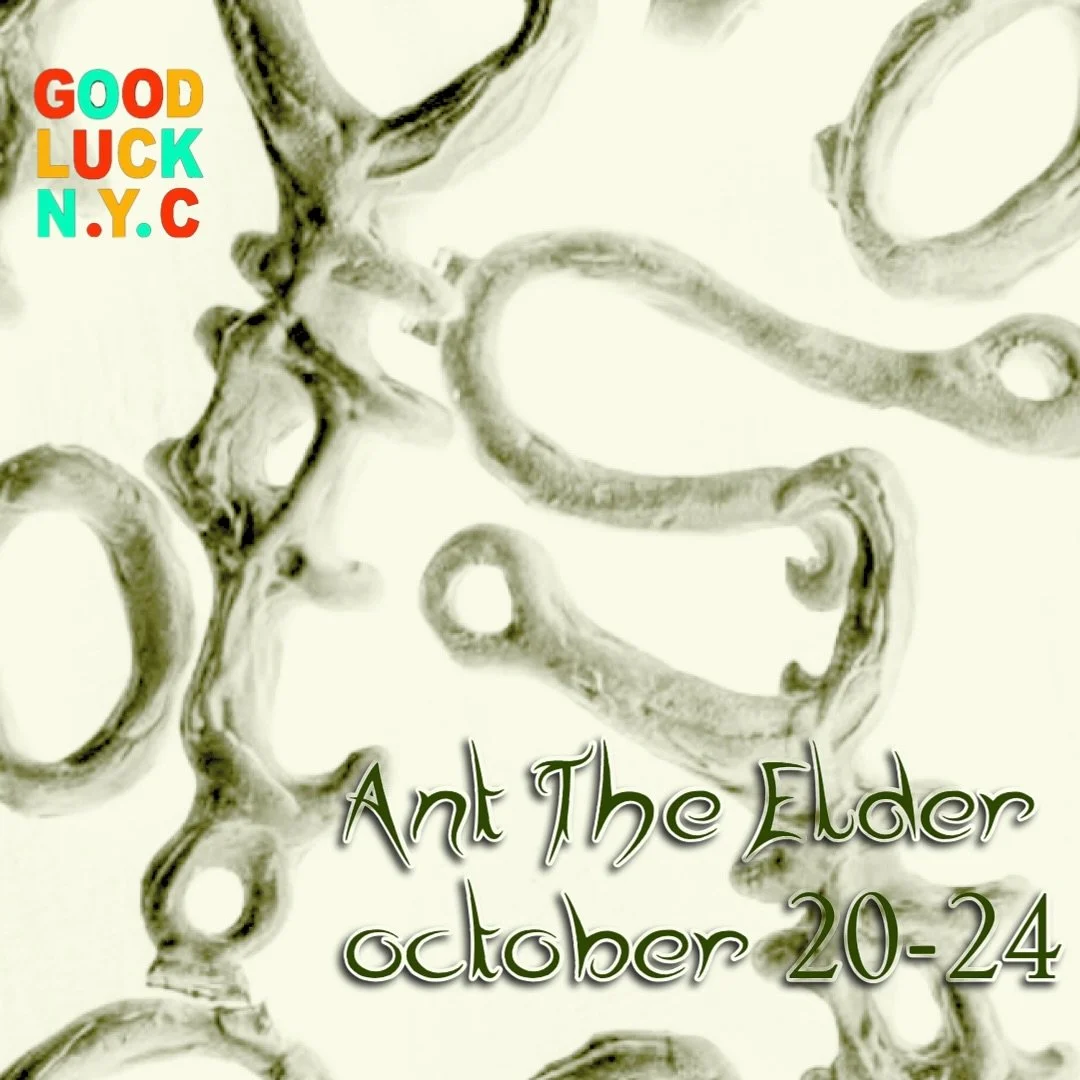 @anttheelder is back again! october 20-24th