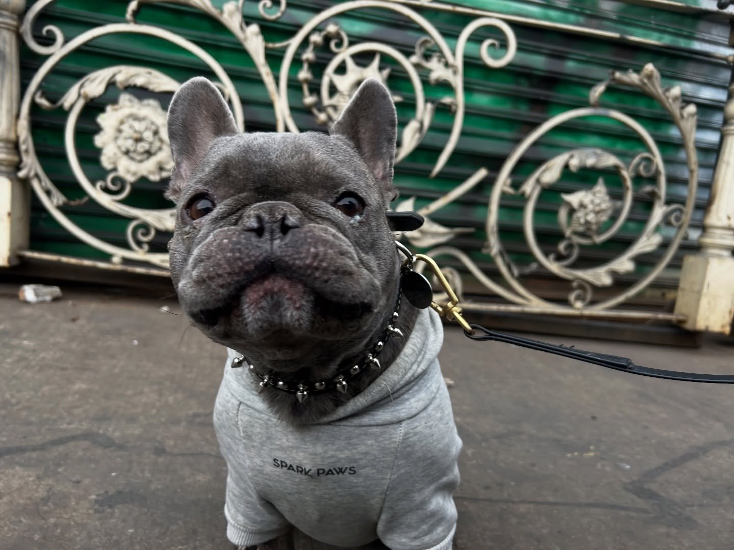 a lil lemmy for all of us dawg lovers ! and some tats by @adriannastabs .

booking january and february here at #GLNYC link in her bio to book!