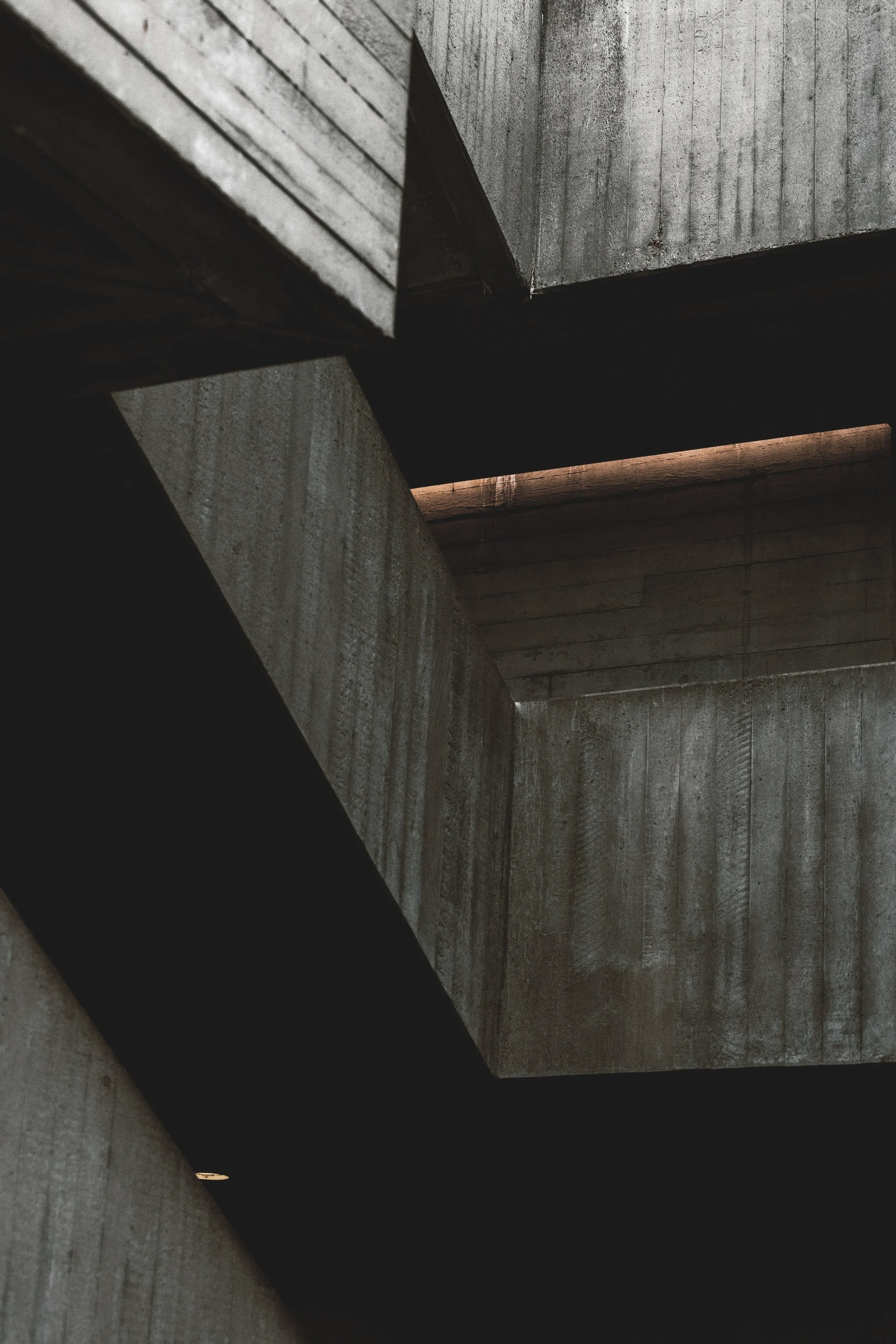 MEU Consulting secures €12,5 million for Everox (ex-C2CA) from the EIC Accelerator