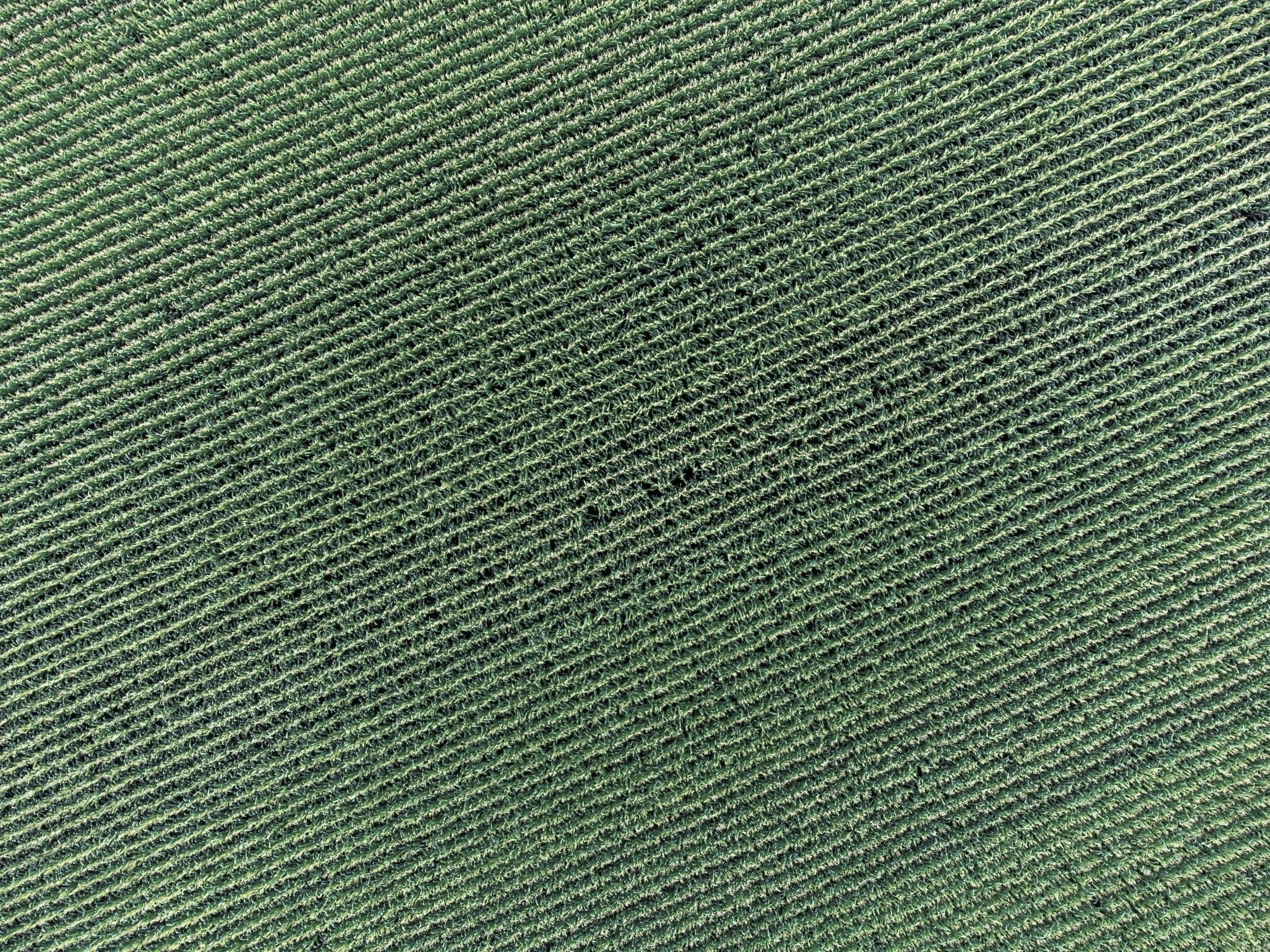 MEU Consulting secures €5,6M for Lithos crop protect gmbh through the SME Insrtument and the EIC Accelerator. 