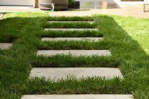 Rootz Landscapes photo 6