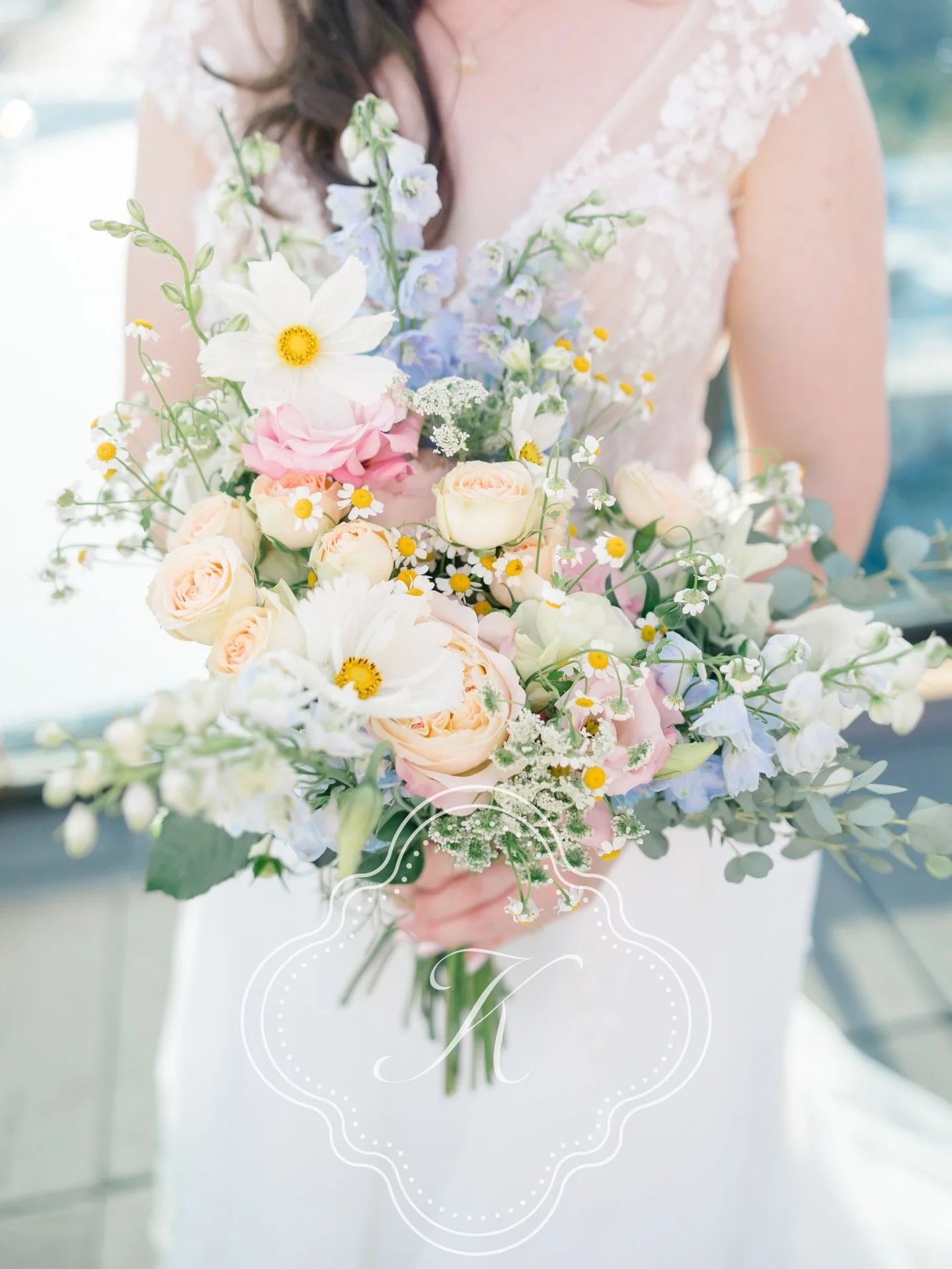 They&rsquo;re here! Our brand new 2026 wedding collections 💗

New collection layouts, add-ons, and even specialty elopement &amp; associate pricing available. Inquire today for your guide &amp; a custom booking proposal! I&rsquo;m already looking fo