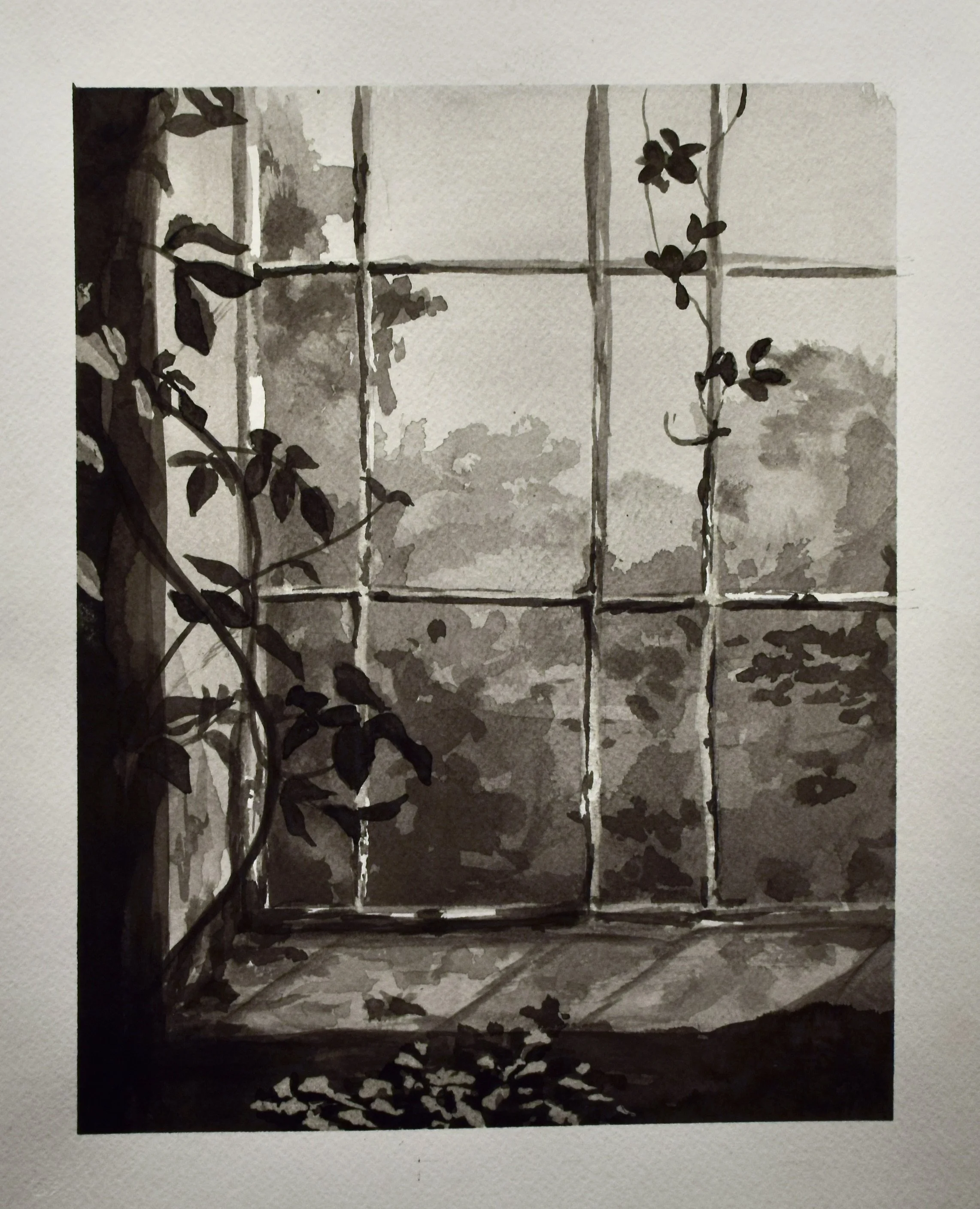 Black and white painting of a window with plants climbing the frame and sunlight casting shadows inside.