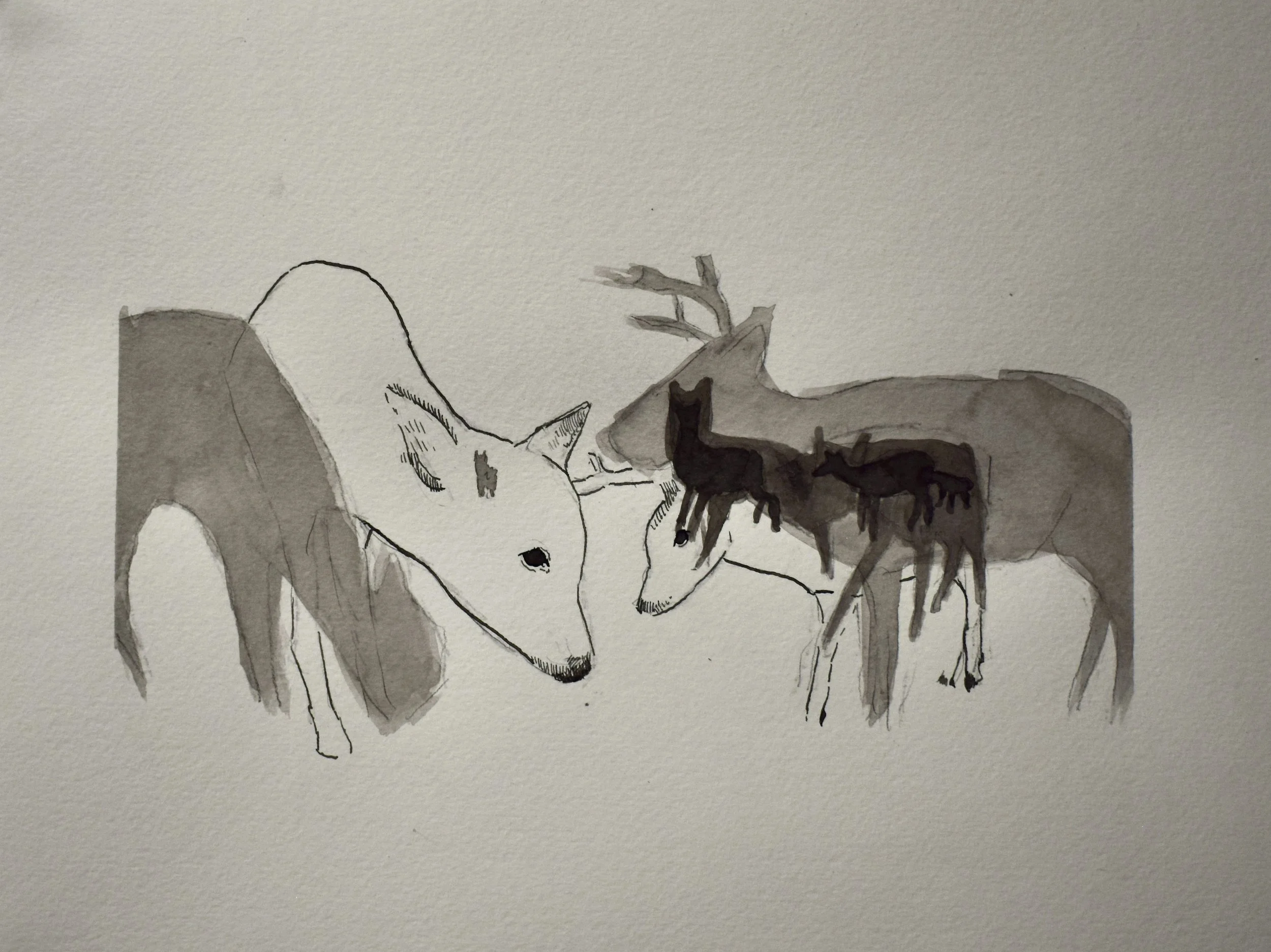 A watercolor painting of two white and gray wolves facing each other with two black wolves and a tree in the background.