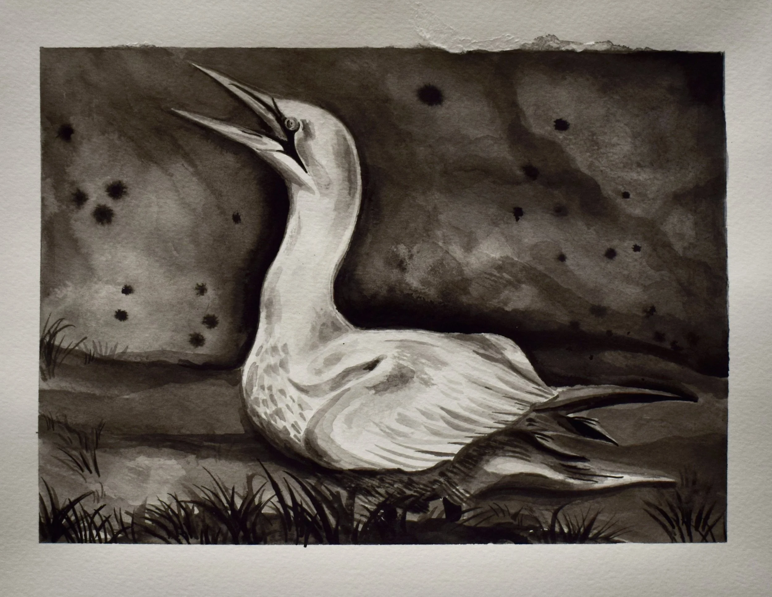 Black and white painting of a heron standing in grass, against a starry night sky.
