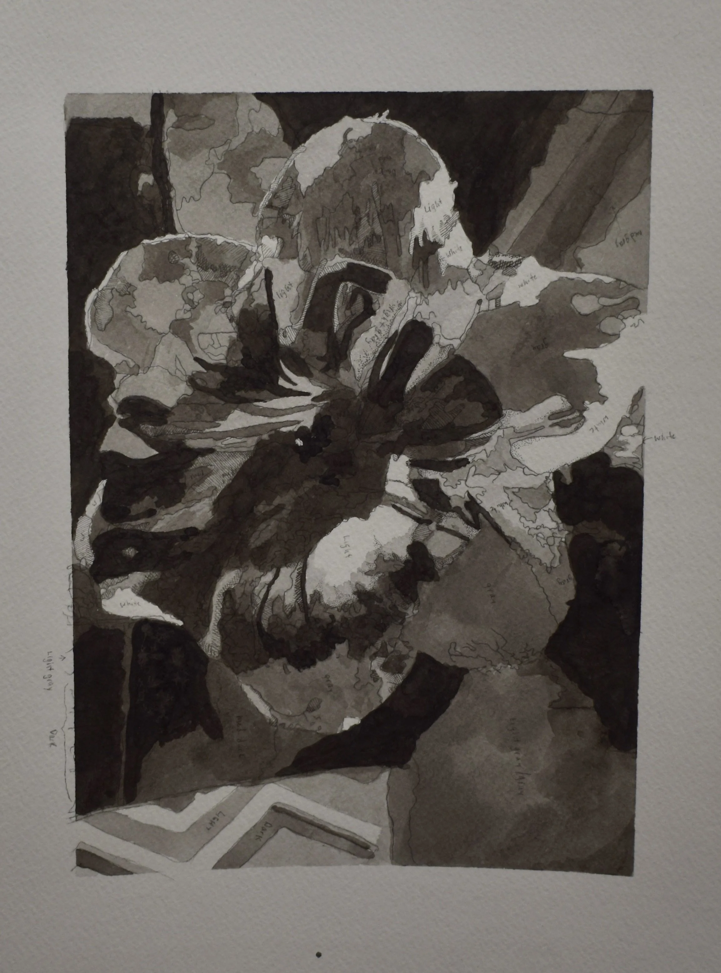 A coloring page of a girl holding a butterfly with text labels for colors.