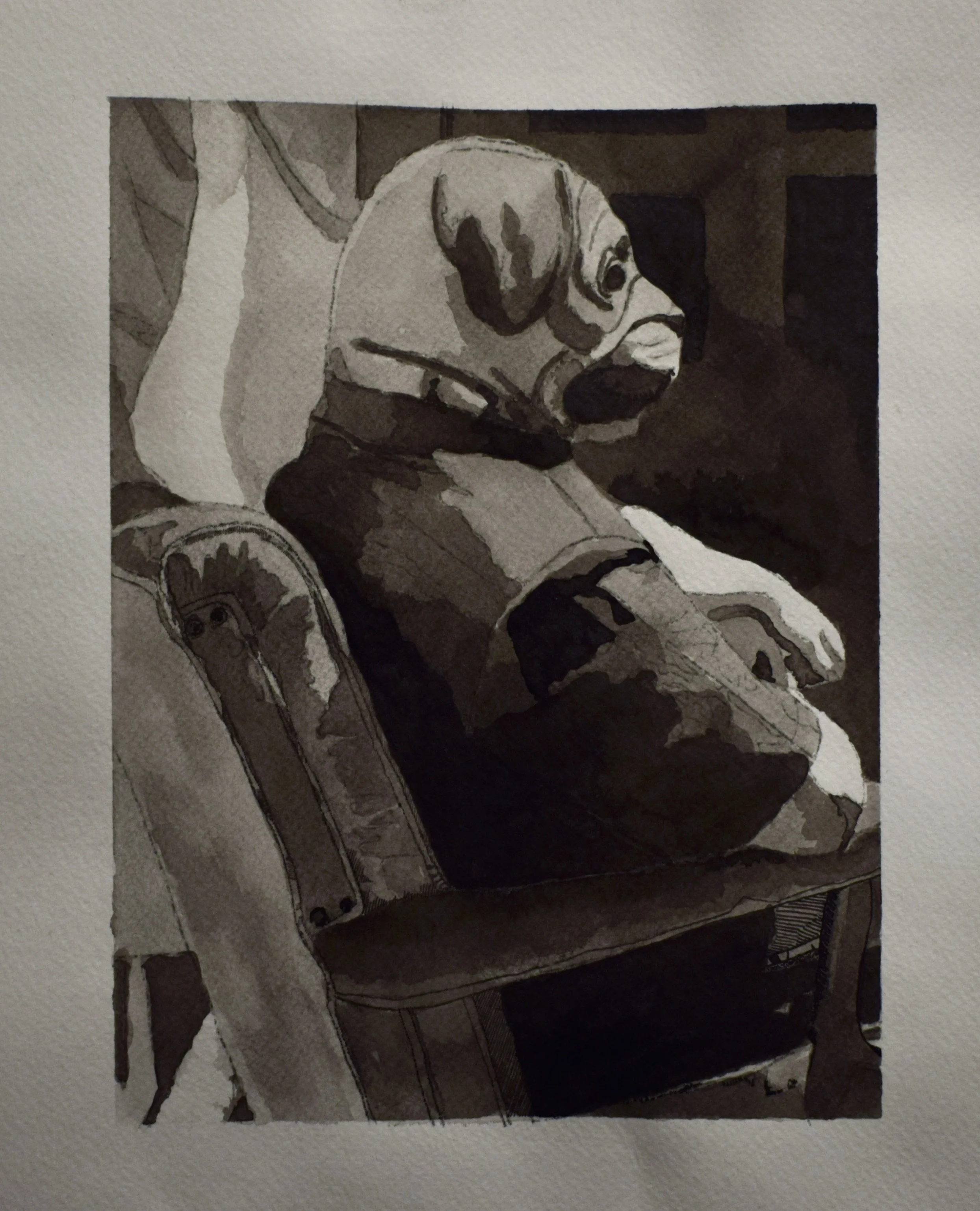 A drawing of a dog sitting on a cushioned chair with a dark background.