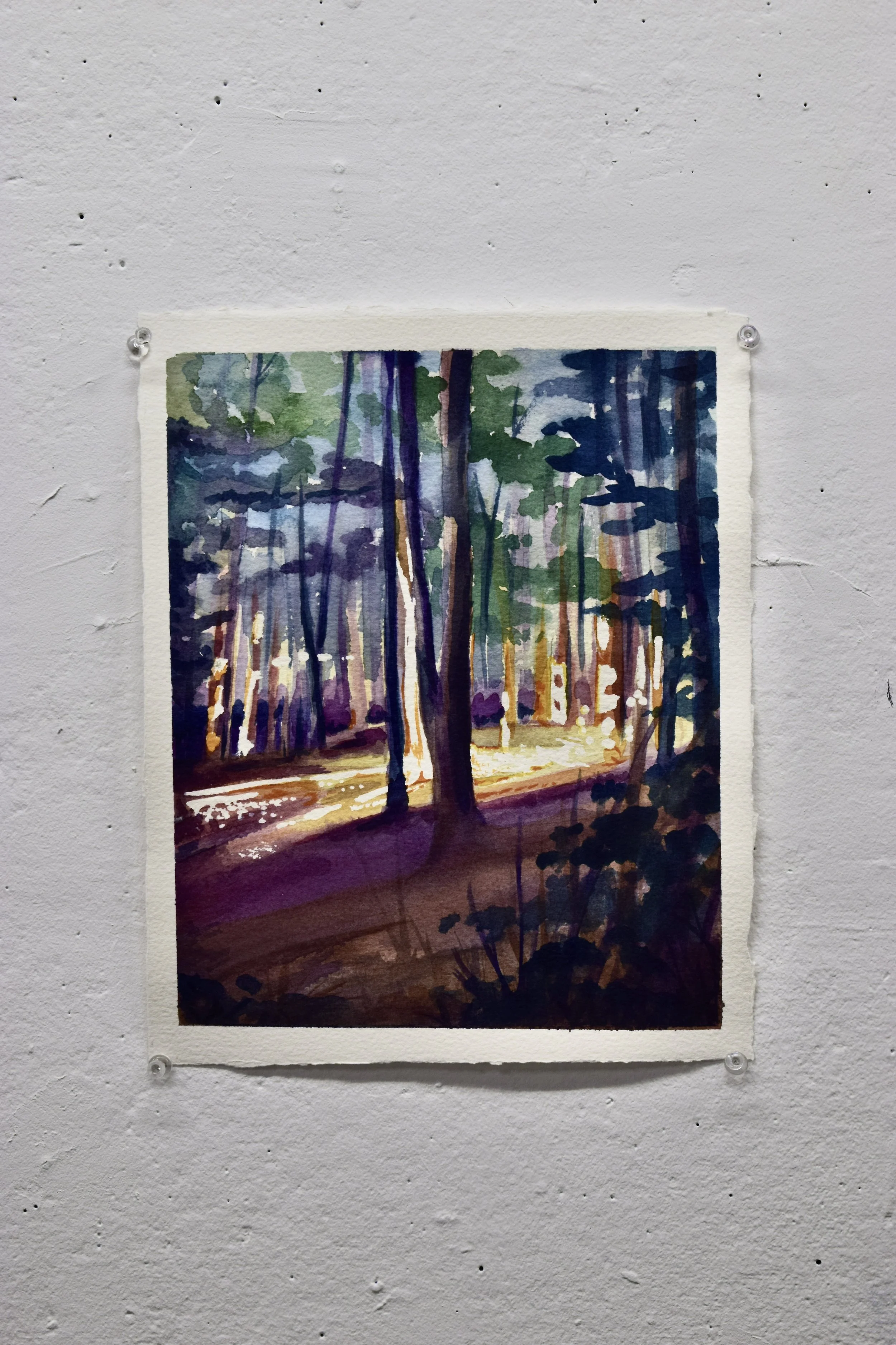 Watercolor painting of a forest with tall trees and sunlight filtering through.