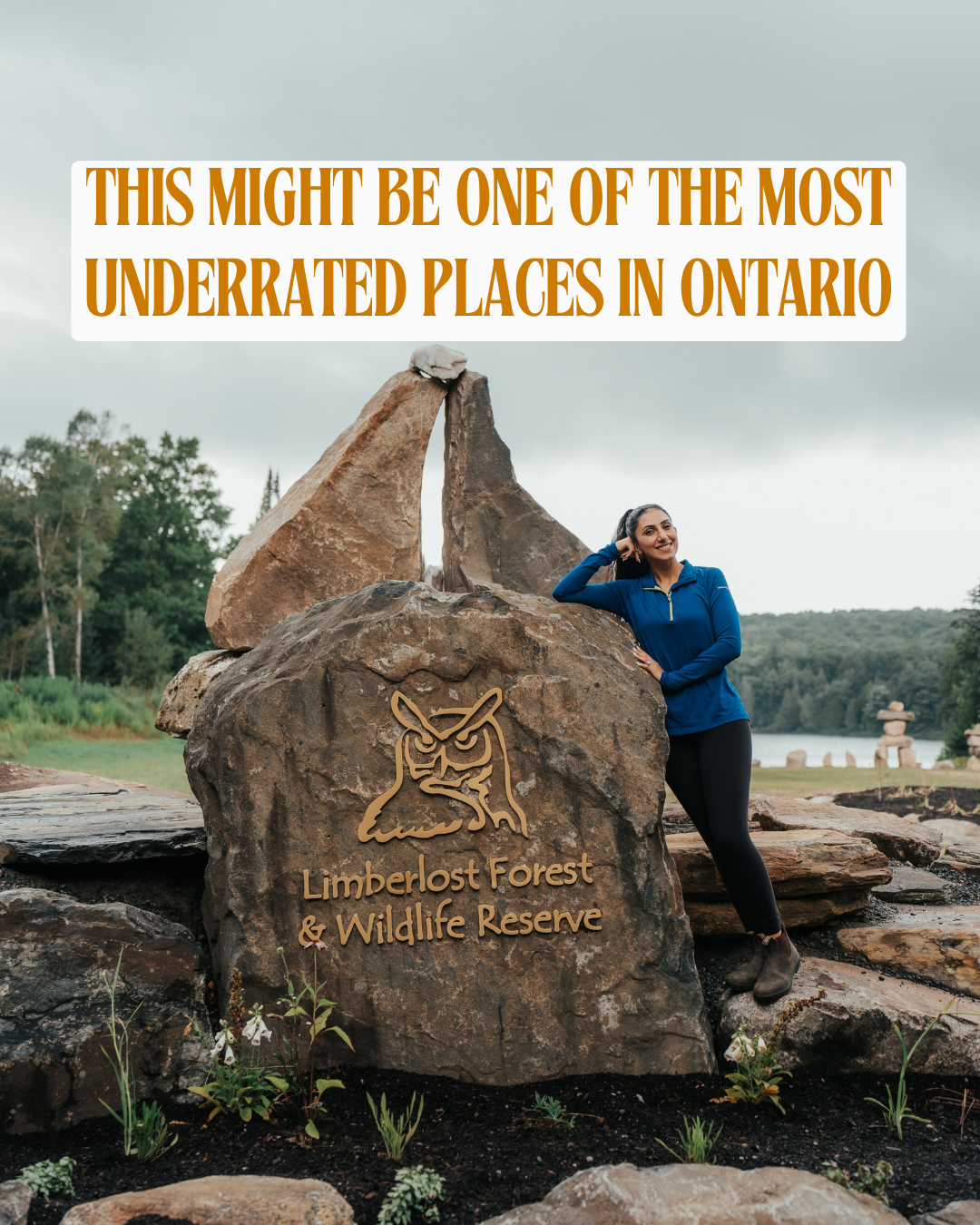 Limberlost Forest: The Free 10,000-Acre Wilderness Near Algonquin