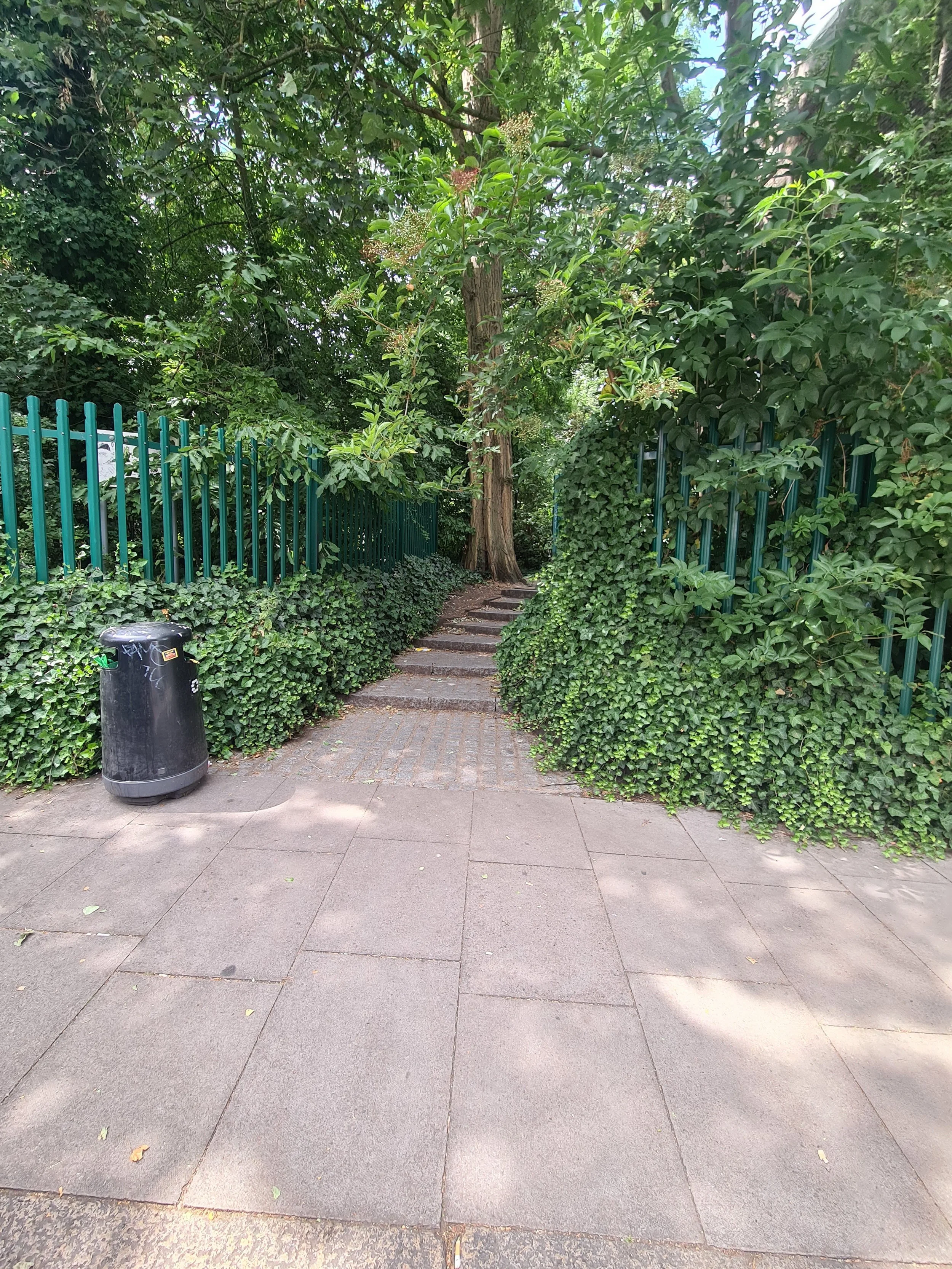 A pavement leading to a set of stone stairs surrounded by green bushes and trees, with a green metal fence on each side and a black bin on the left.