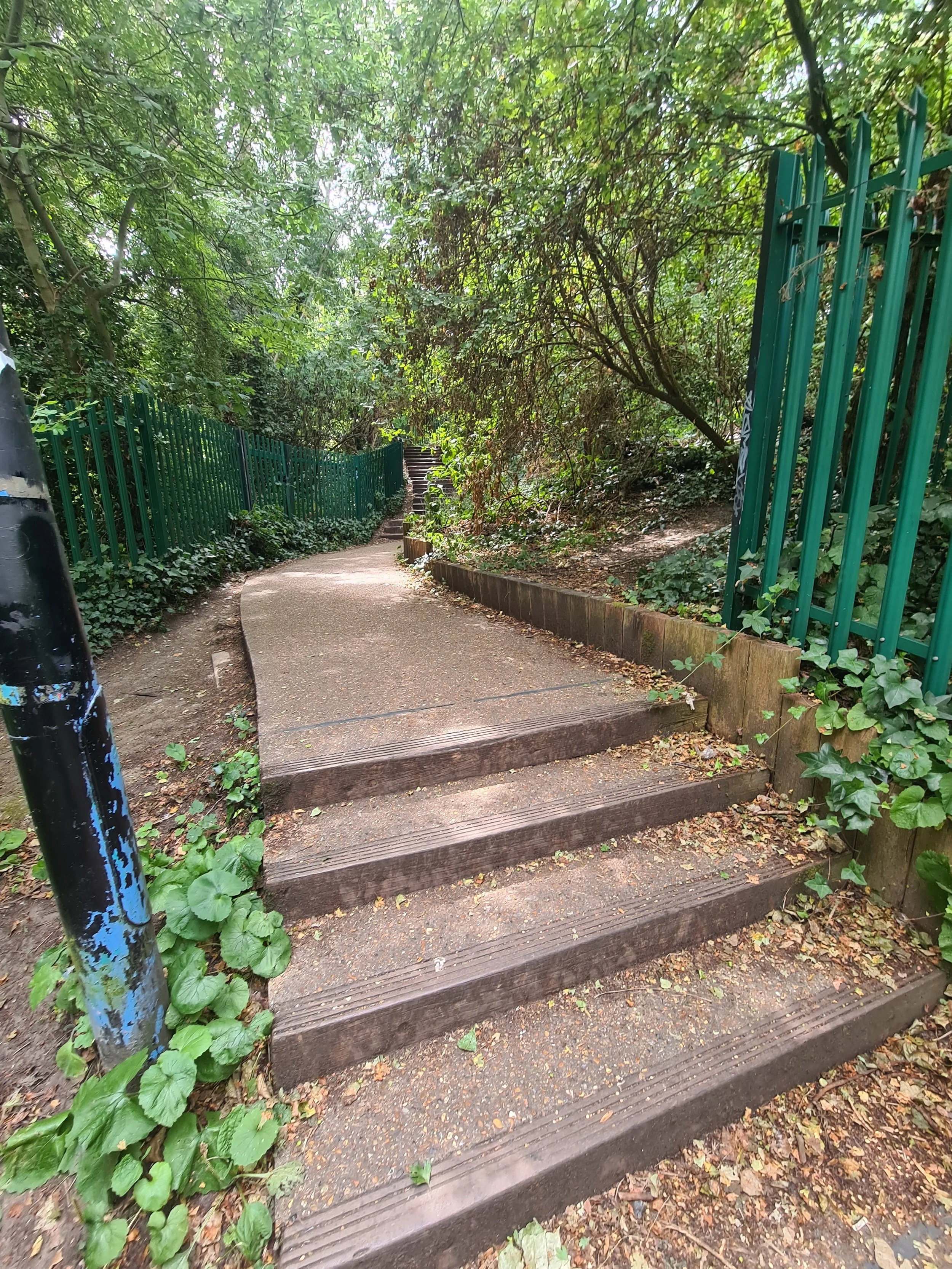 A winding outdoor path with stairs, surrounded by green foliage and trees, enclosed by a green metal fence.