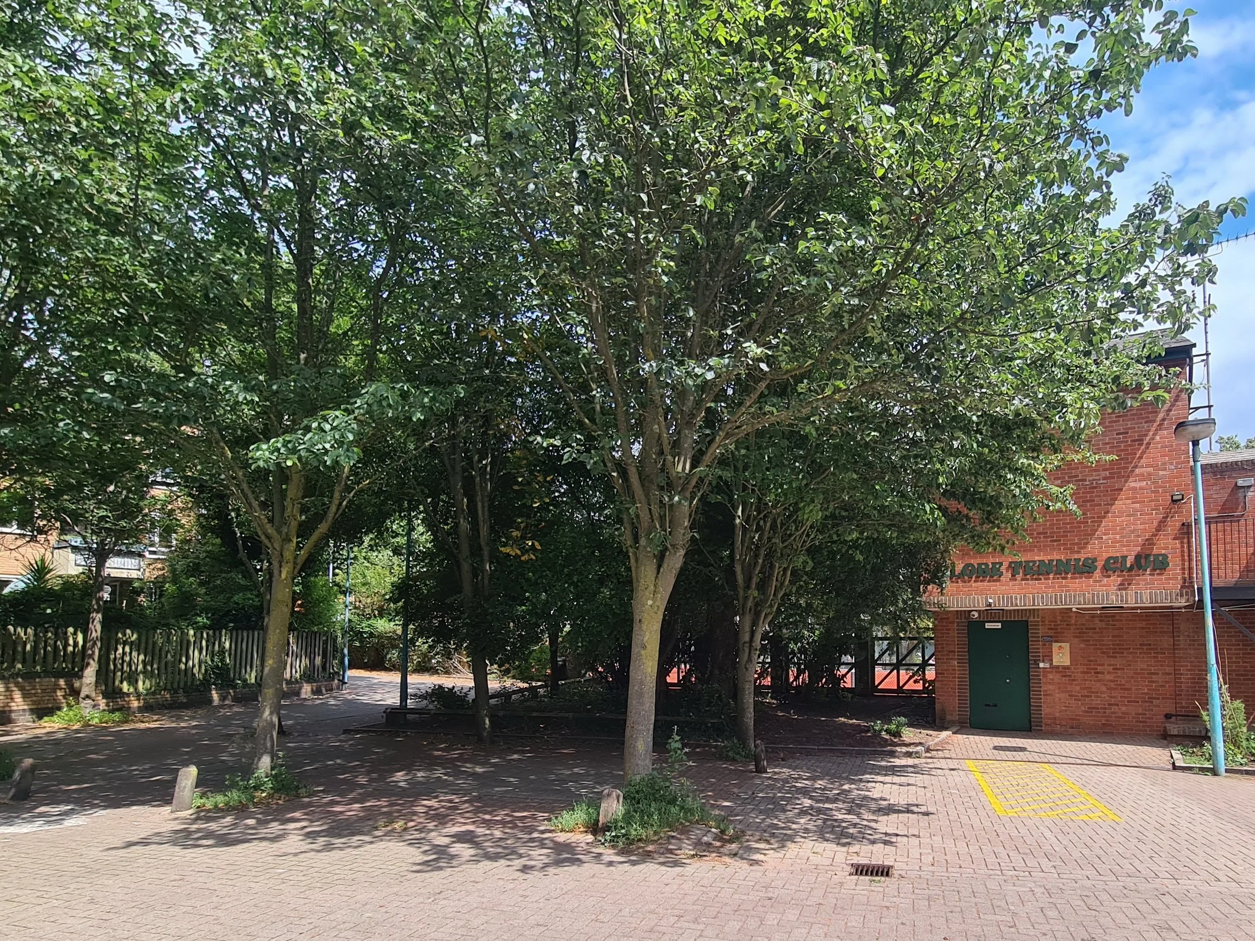 Tennis club building partially obscured by green trees on a sunny day, with brick walls and a green door.