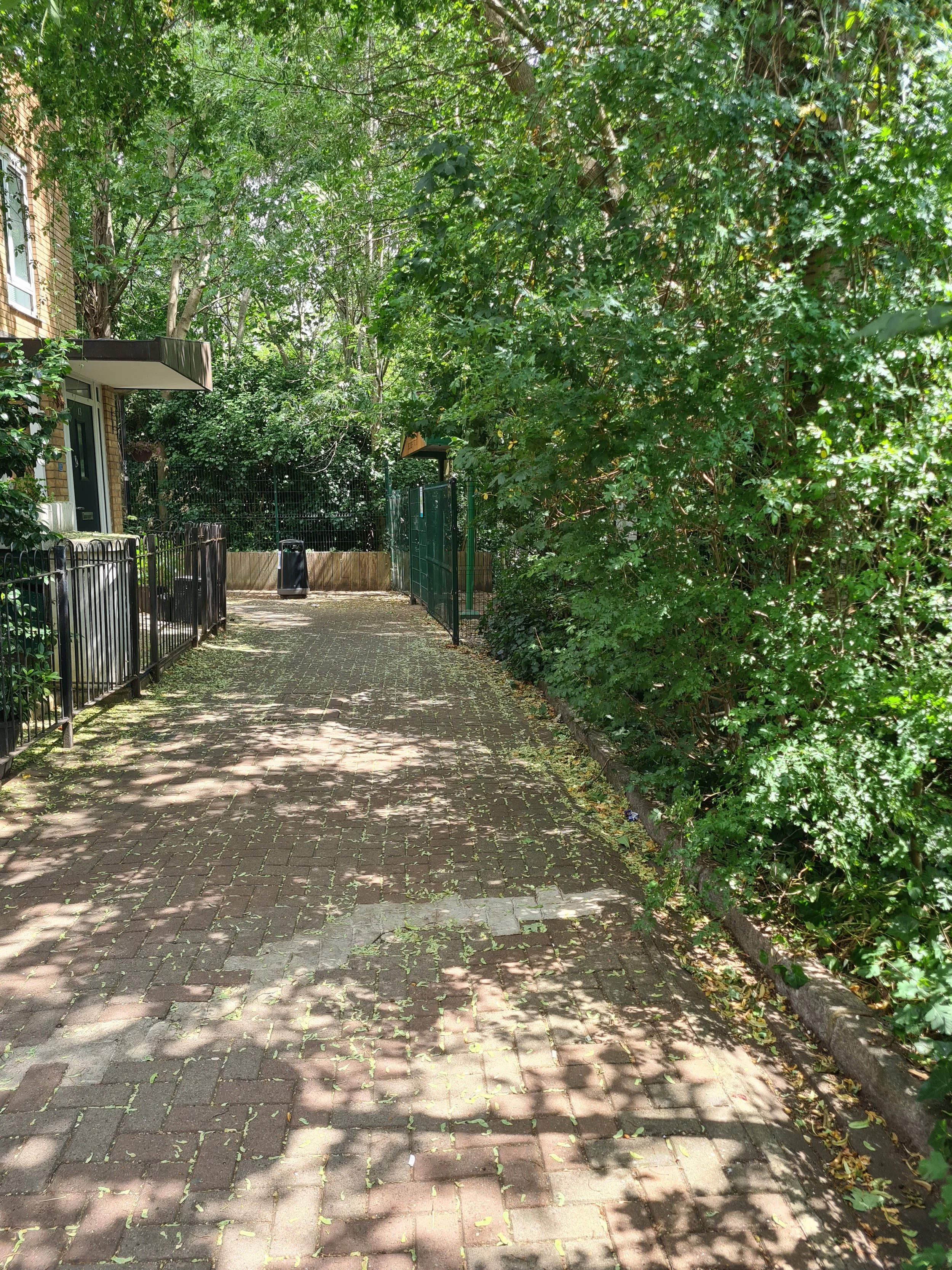 A pavement shaded by trees and plants, with metal railings and a gate at the end, in a residential area.