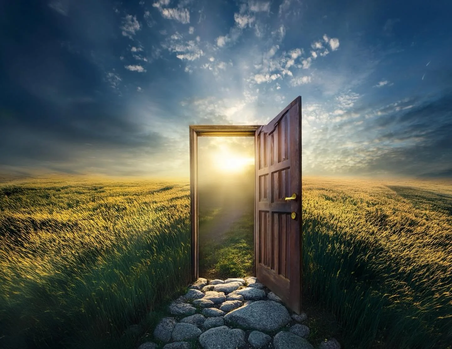 Have you outgrown parts of yourself?

And feel ready to take the next step into your true, authentic self?

The Universal 1 Year, led by the Fire Horse, is an invitation to begin again&mdash;to move forward with courage, clarity, and intention. 

✨ C