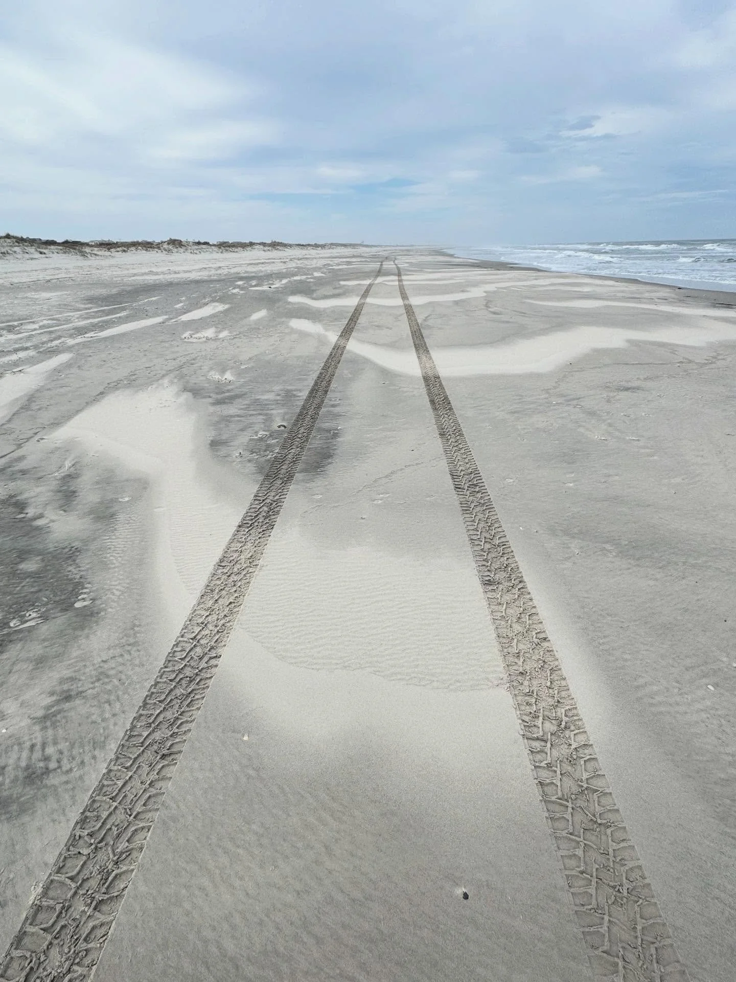 We can&rsquo;t always see the entire path ahead&hellip; but we can enjoy the treasures we find along the way.

On this cool, cloudy day, my beach walk became a visual feast&mdash; little gifts revealed through the feathers, the shoreline, a delicate 