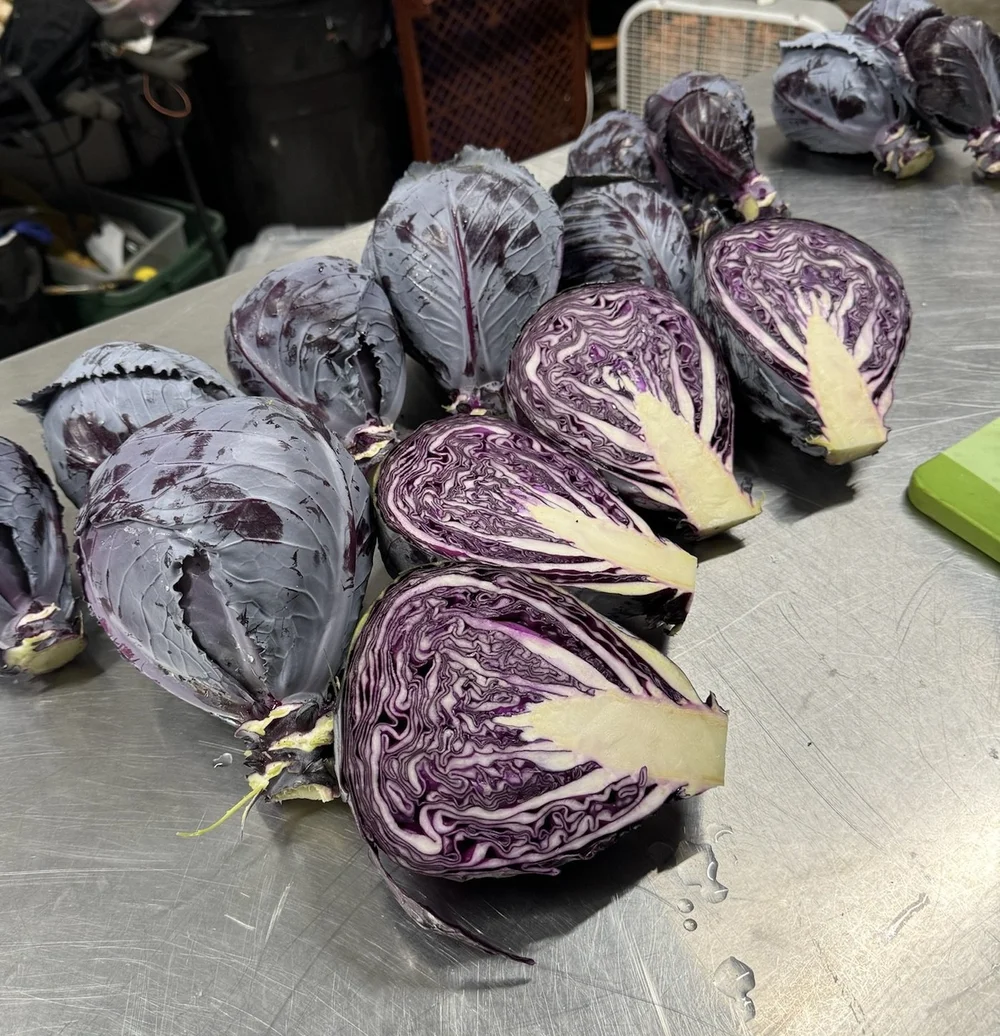 CABBAGE.JPG