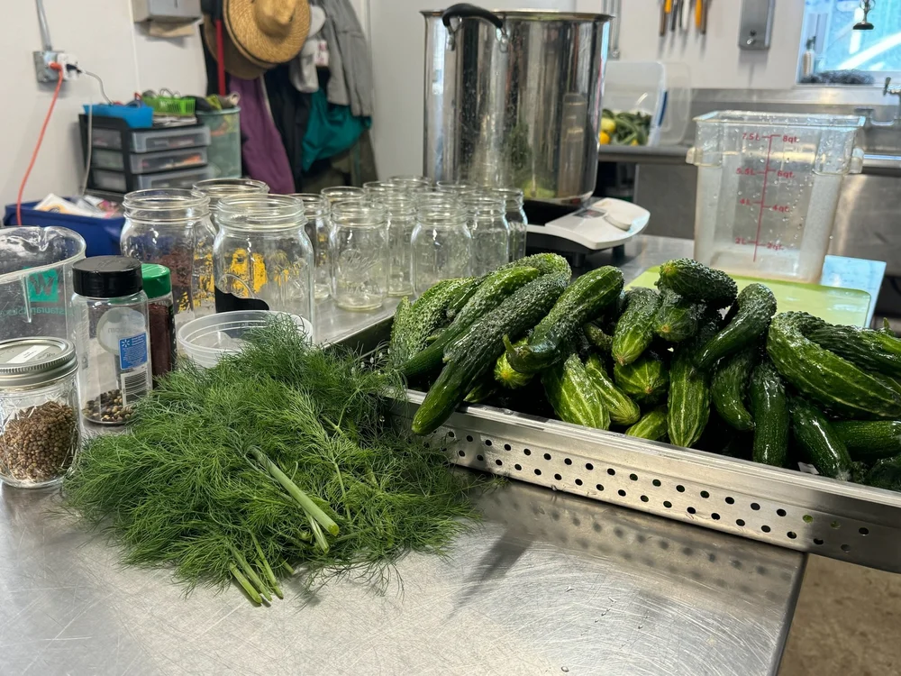 PICKLE PROCESS.jpeg