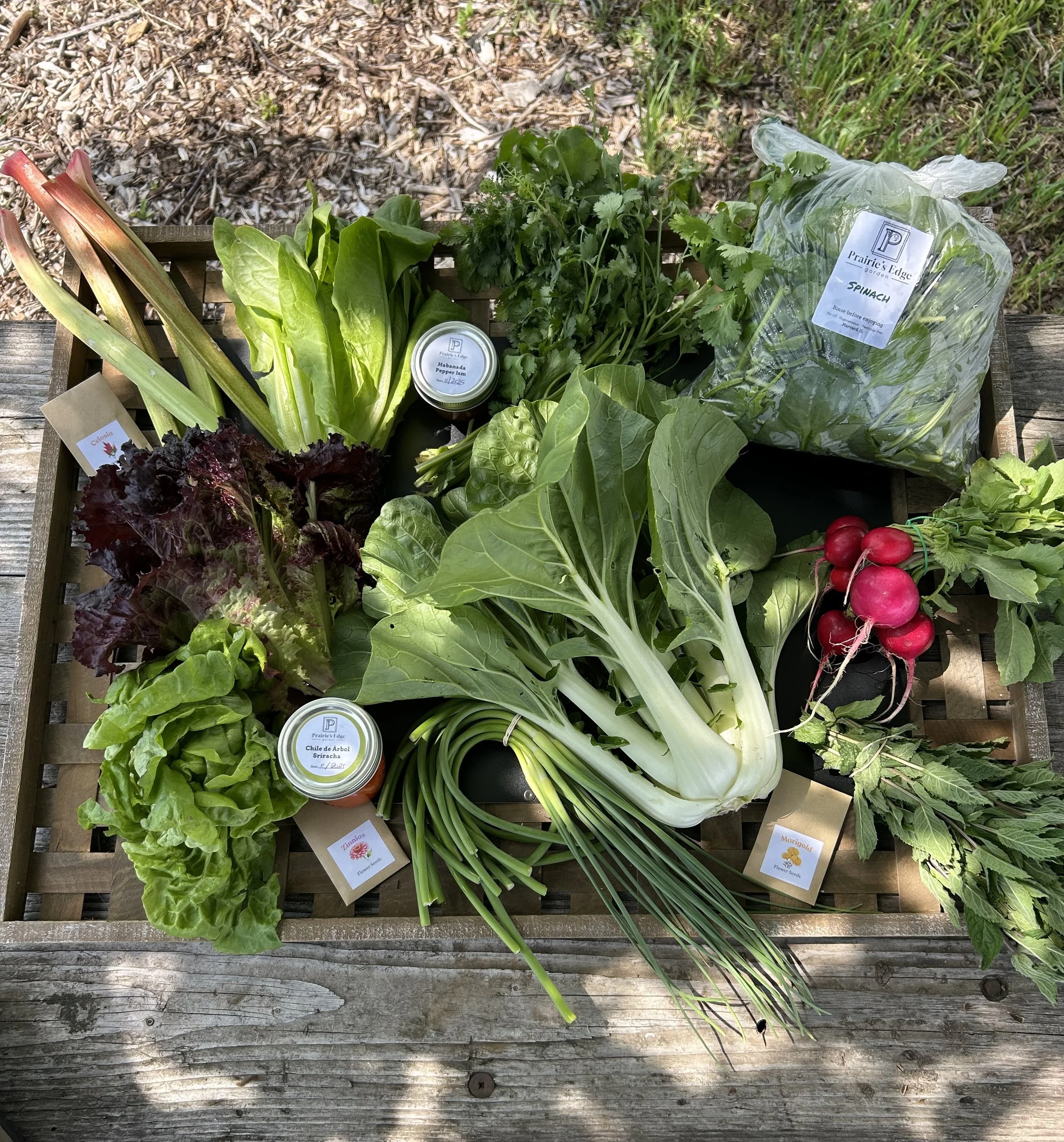 IMG_5309.jpeg