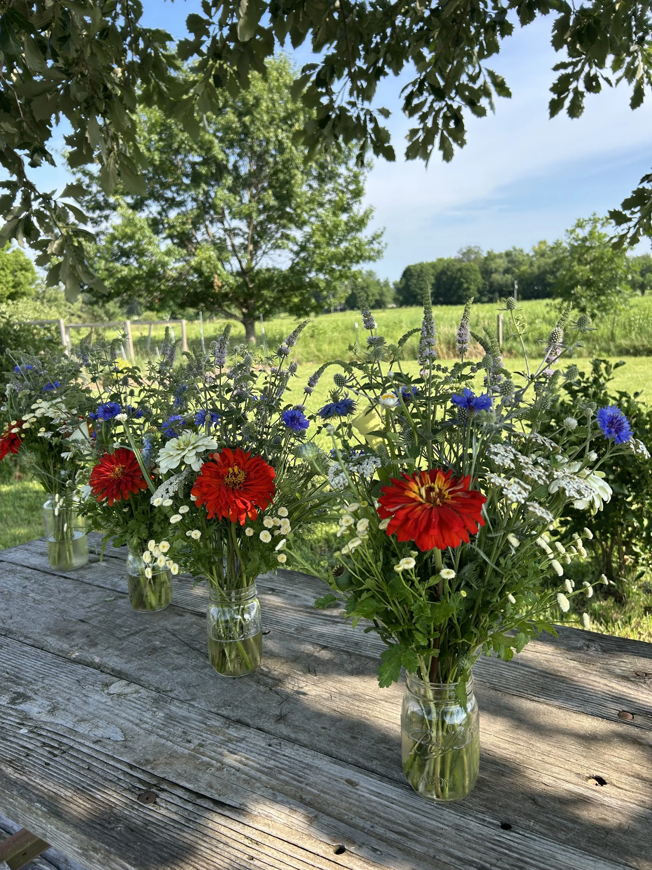 CSA Box # 3 - July 2026