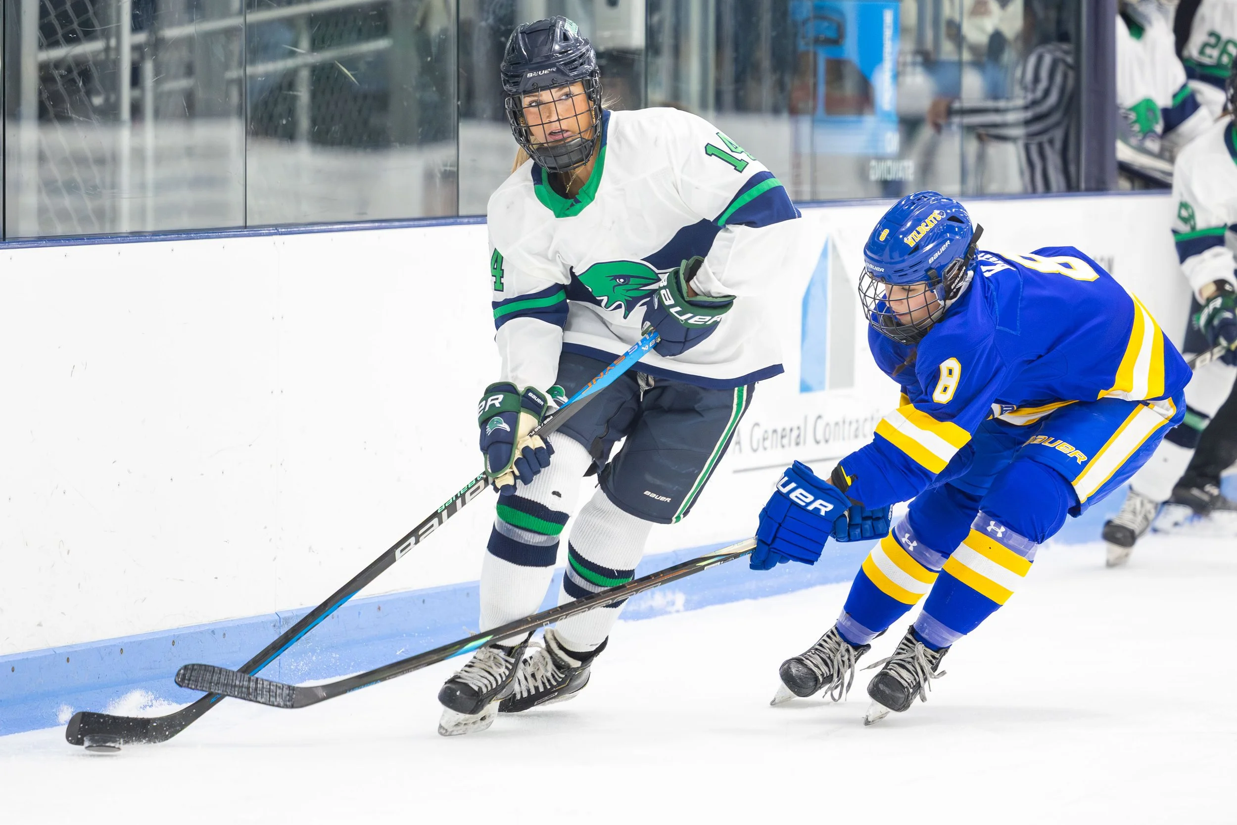 Portfolio Image 7.jpg