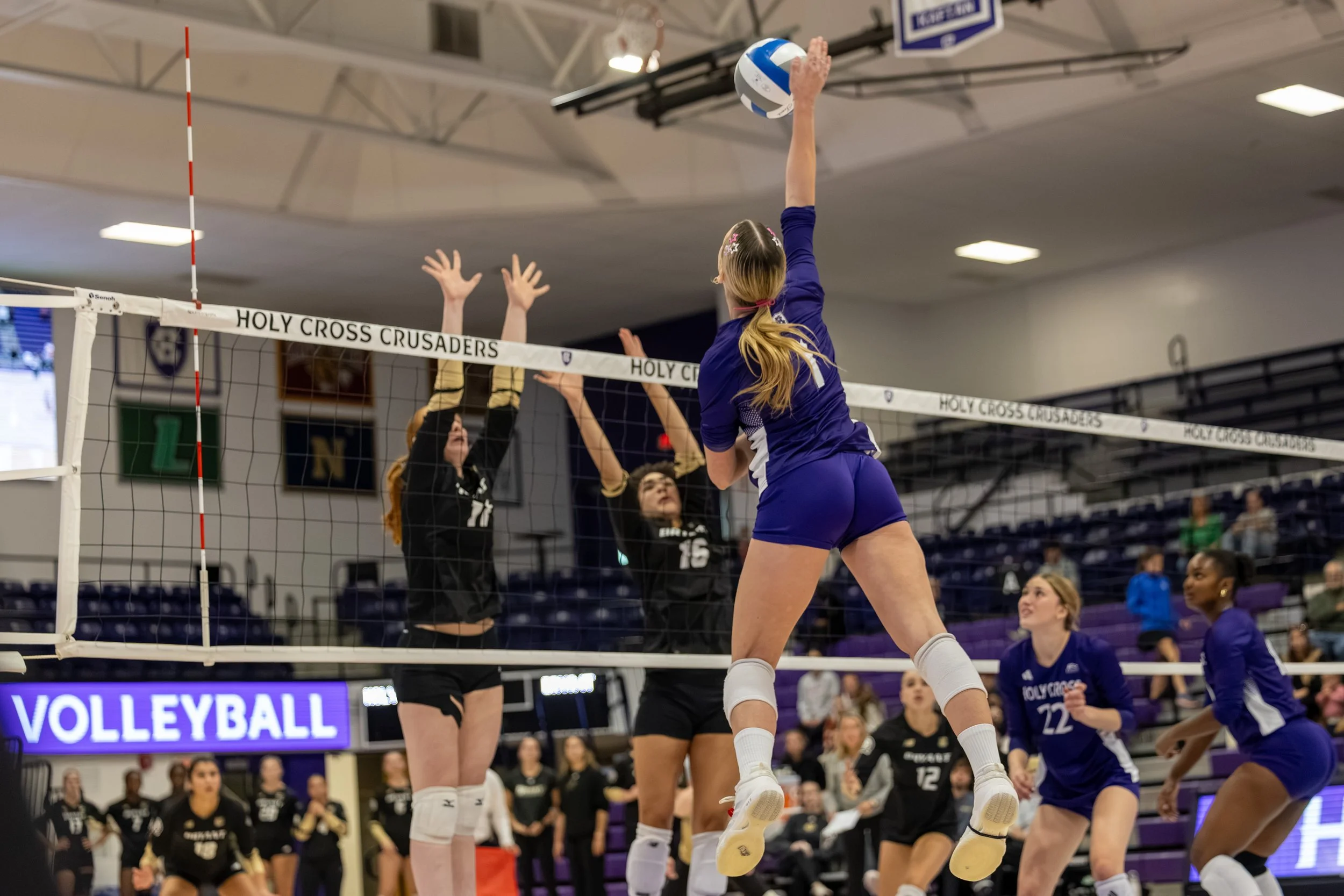 10.6 WVB vs Bryant-15.JPG