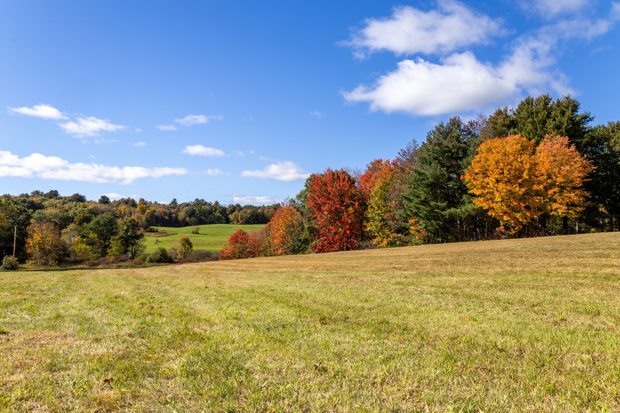 Fall Foliage Photo-2.JPG