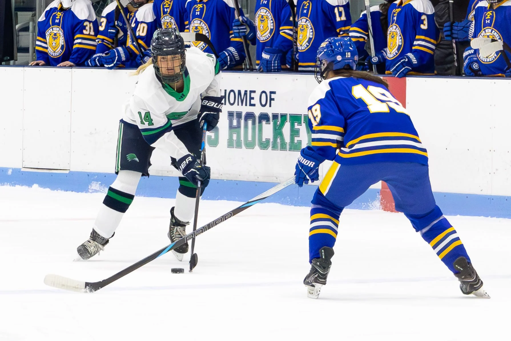 11_15_2024_GJO_WH vs UNE-12.JPG