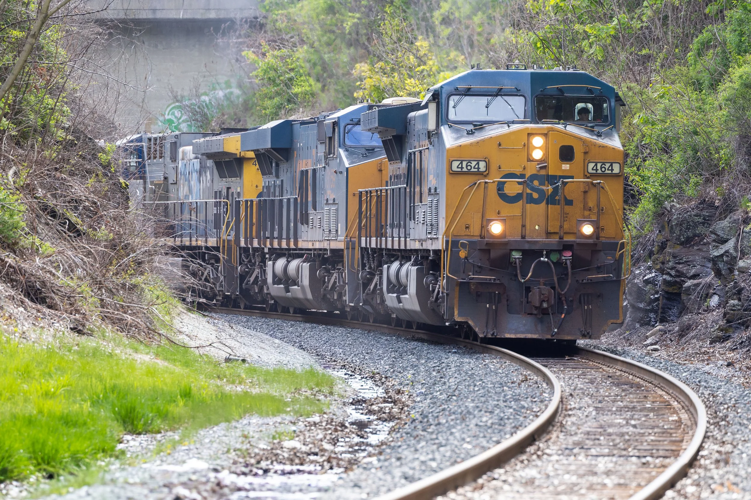 5.25 Train Photos-7.jpg