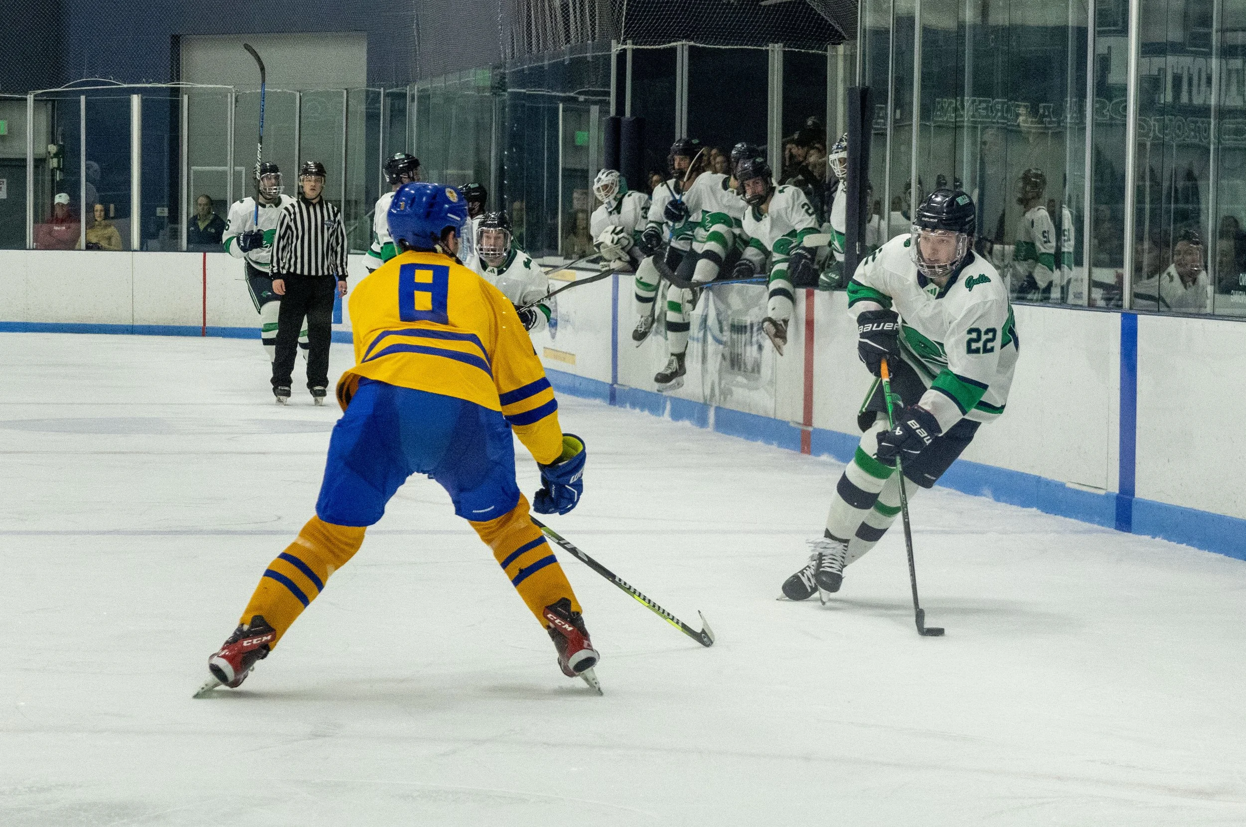 Ryan Gaulin (22).JPG