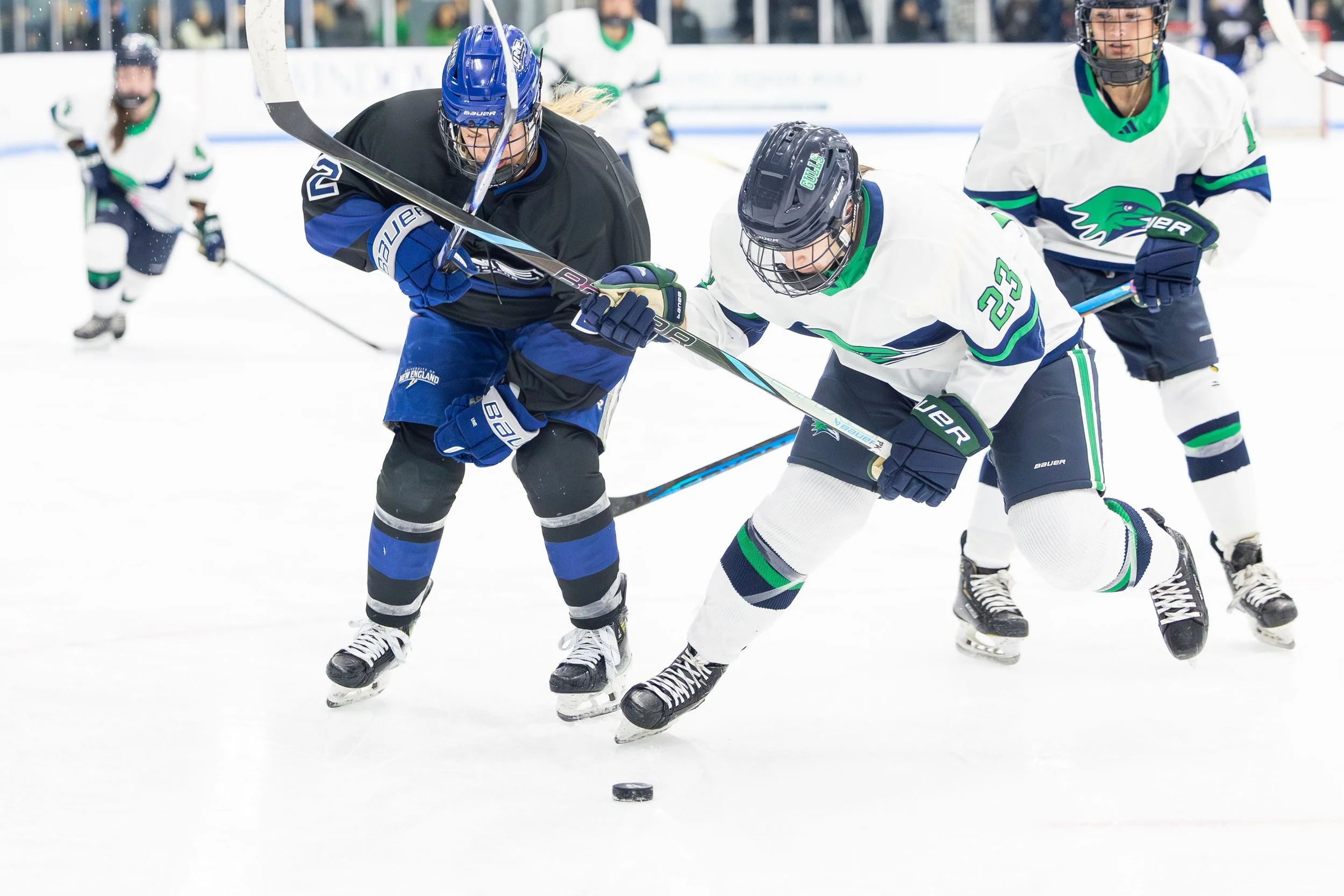 2_28_2026_GJO_WH vs UNE-33.JPG