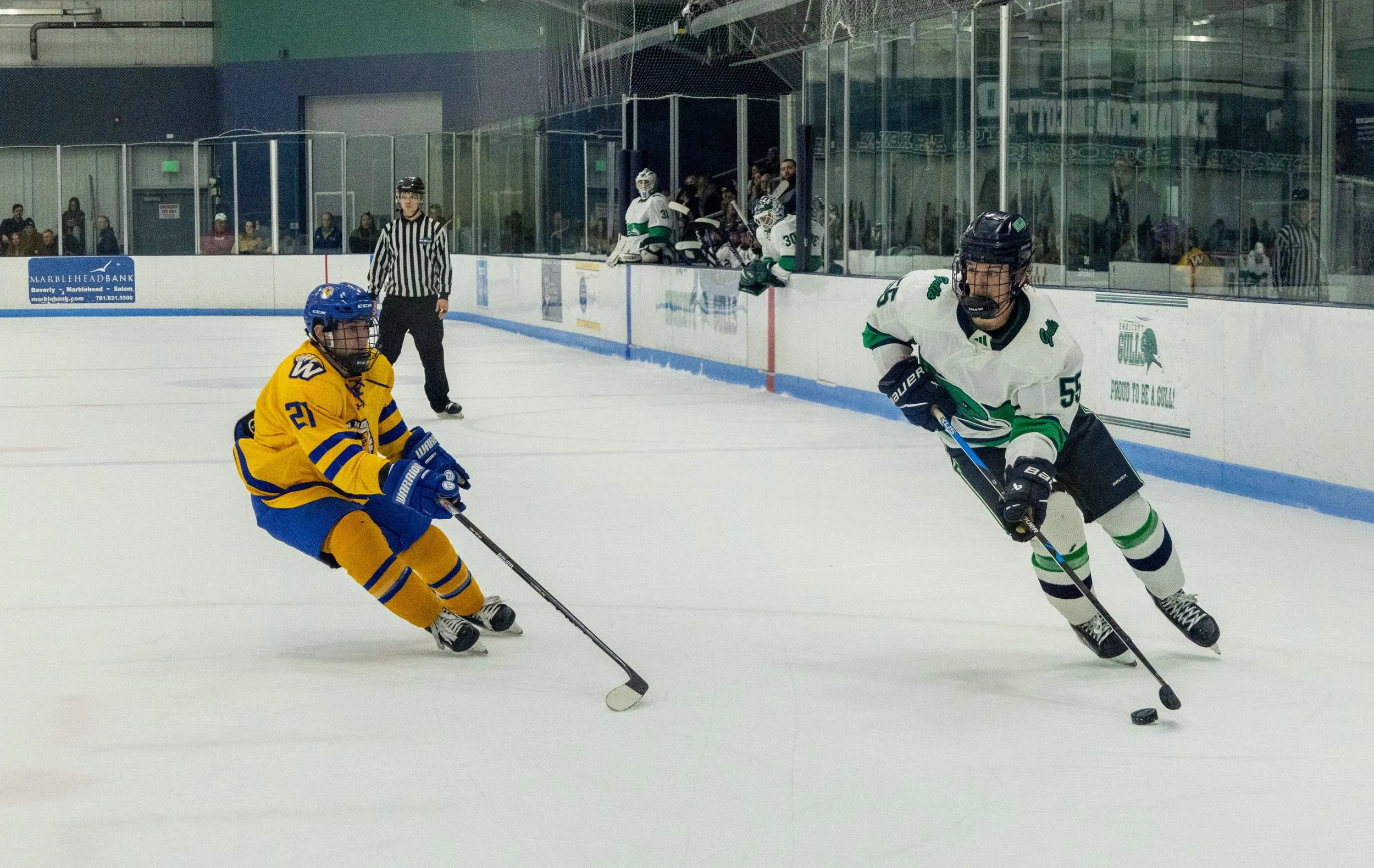 Kevin Craig (55).JPG