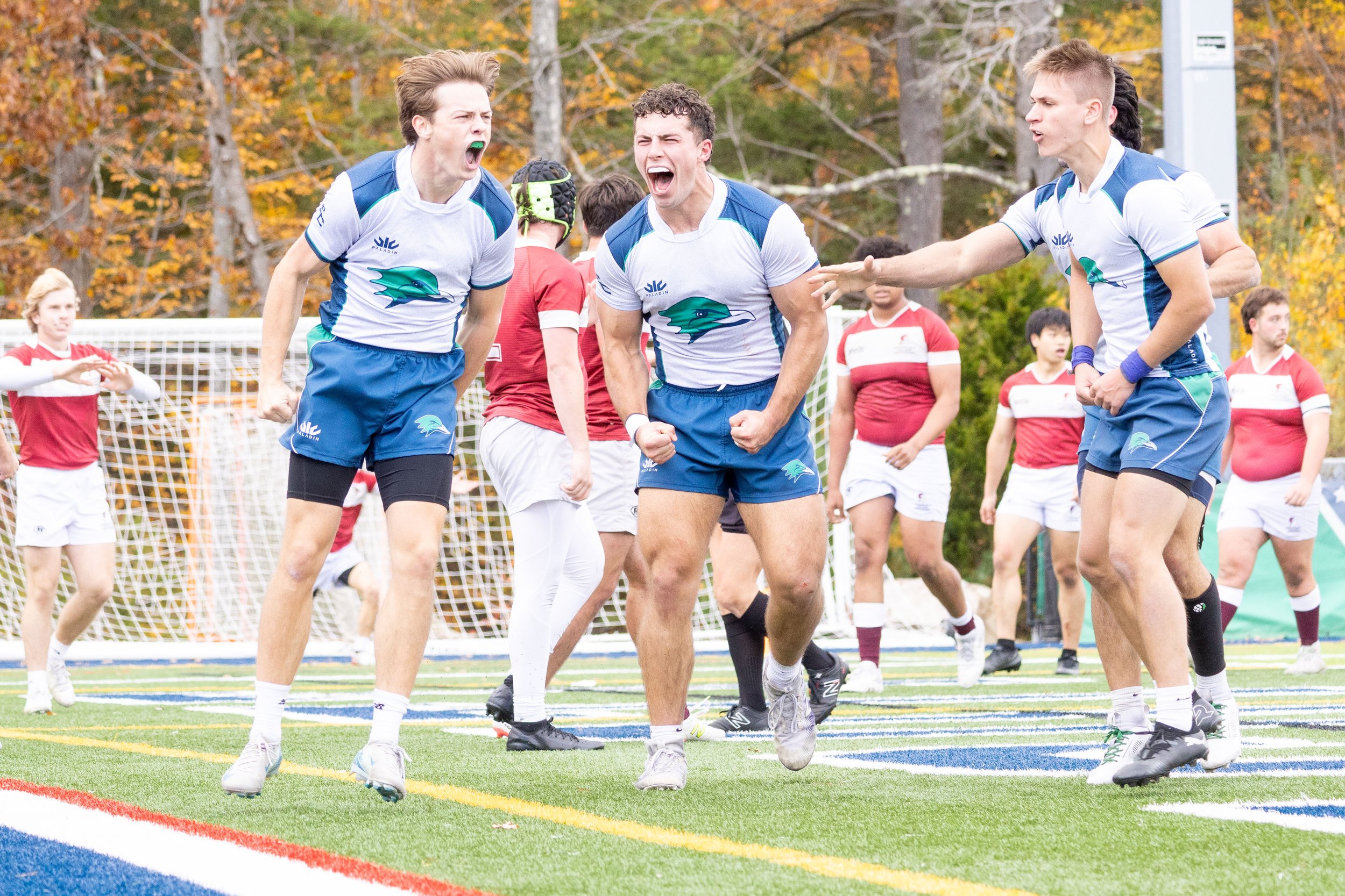 Portfolio Image 18.JPG