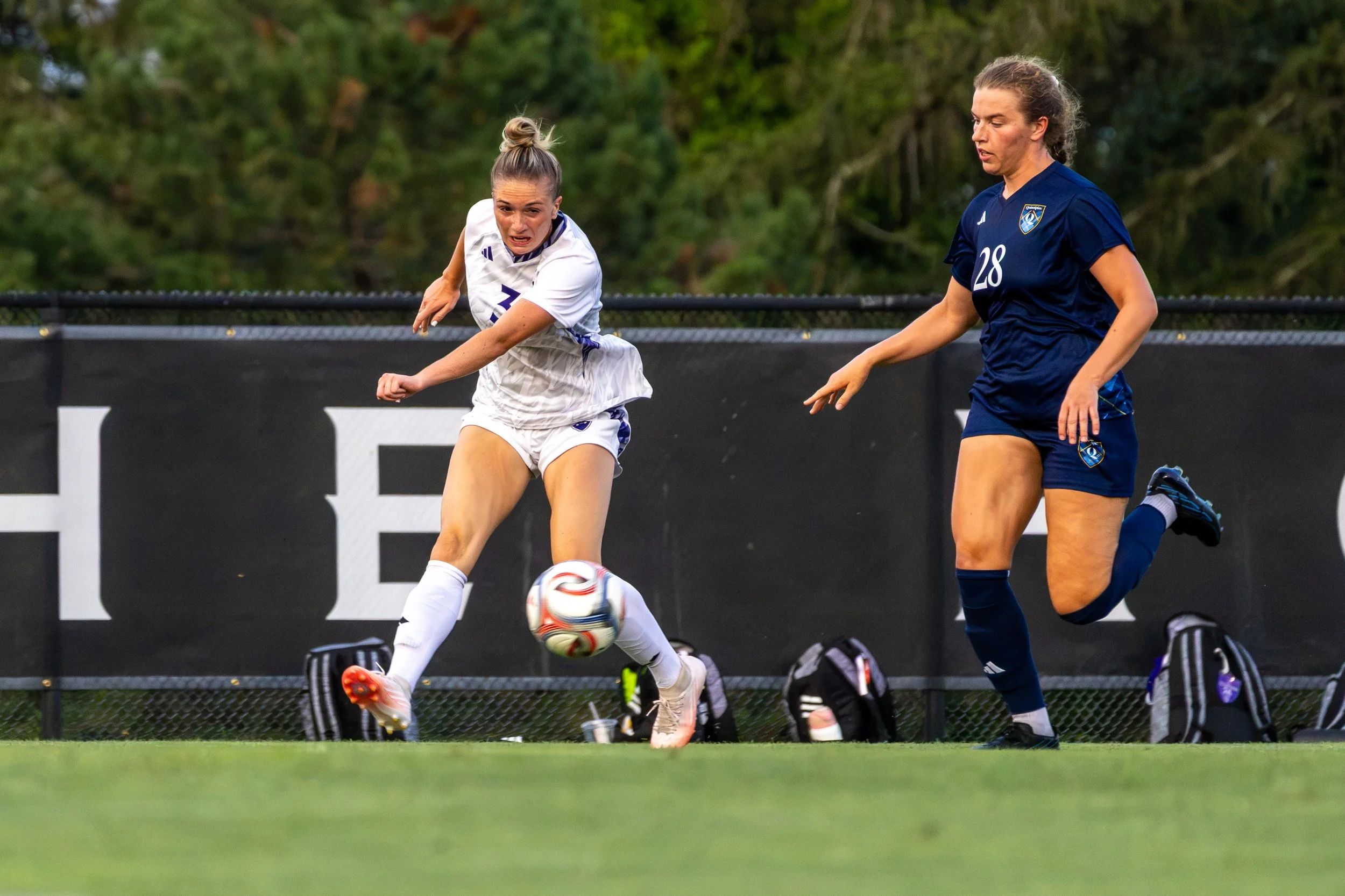 8.12 WSOC vs Quinnipiac-3.jpg