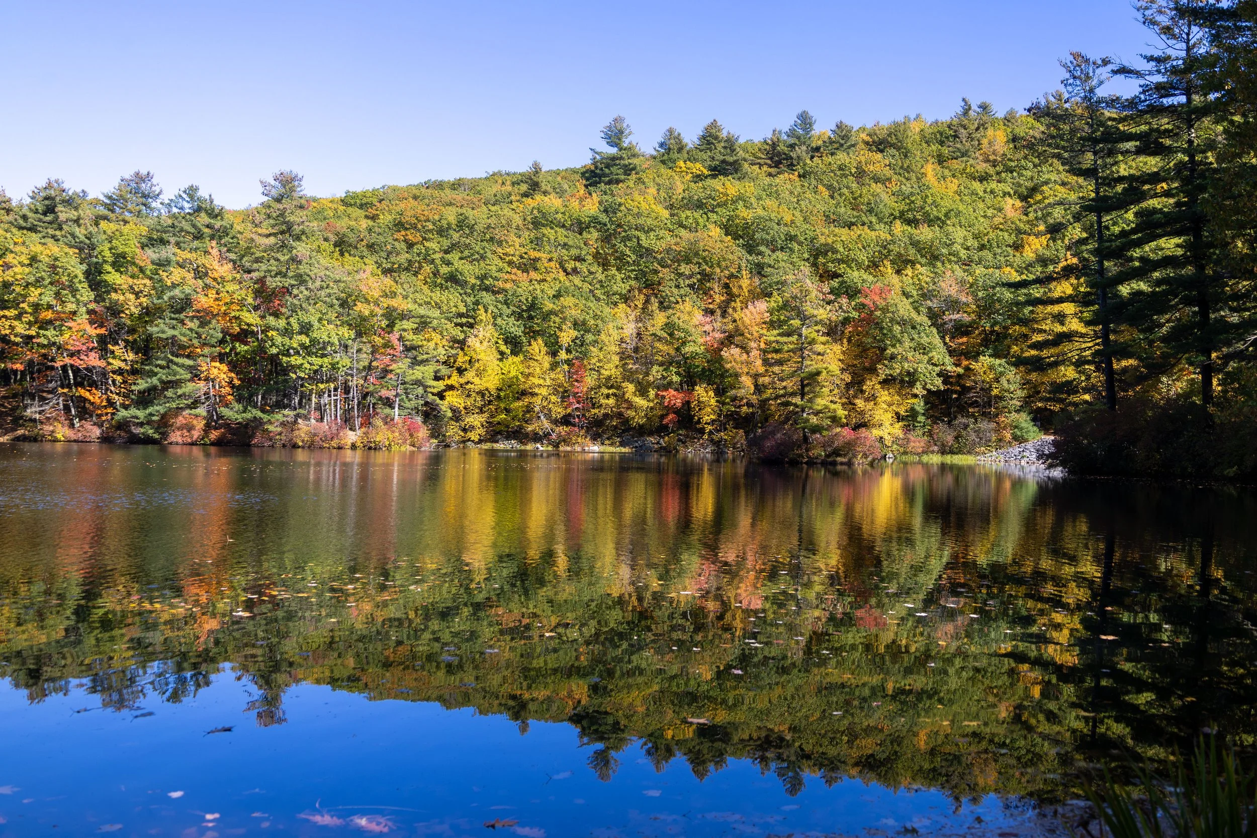 Fall Foliage Photo-7.JPG