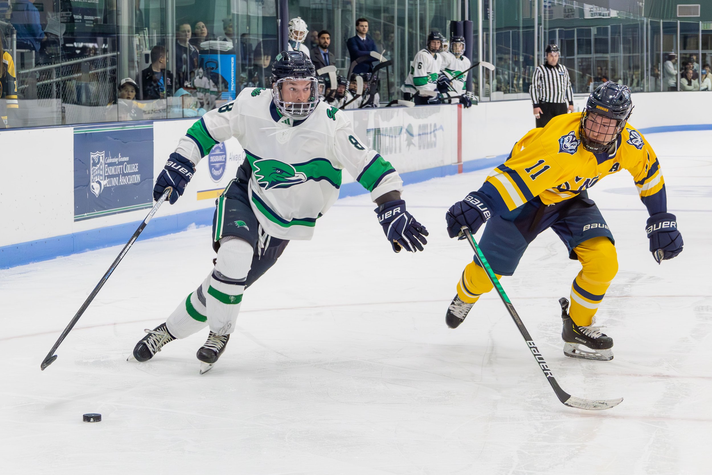 11_1_2024_GJO_MH vs Southern Maine-79.JPG