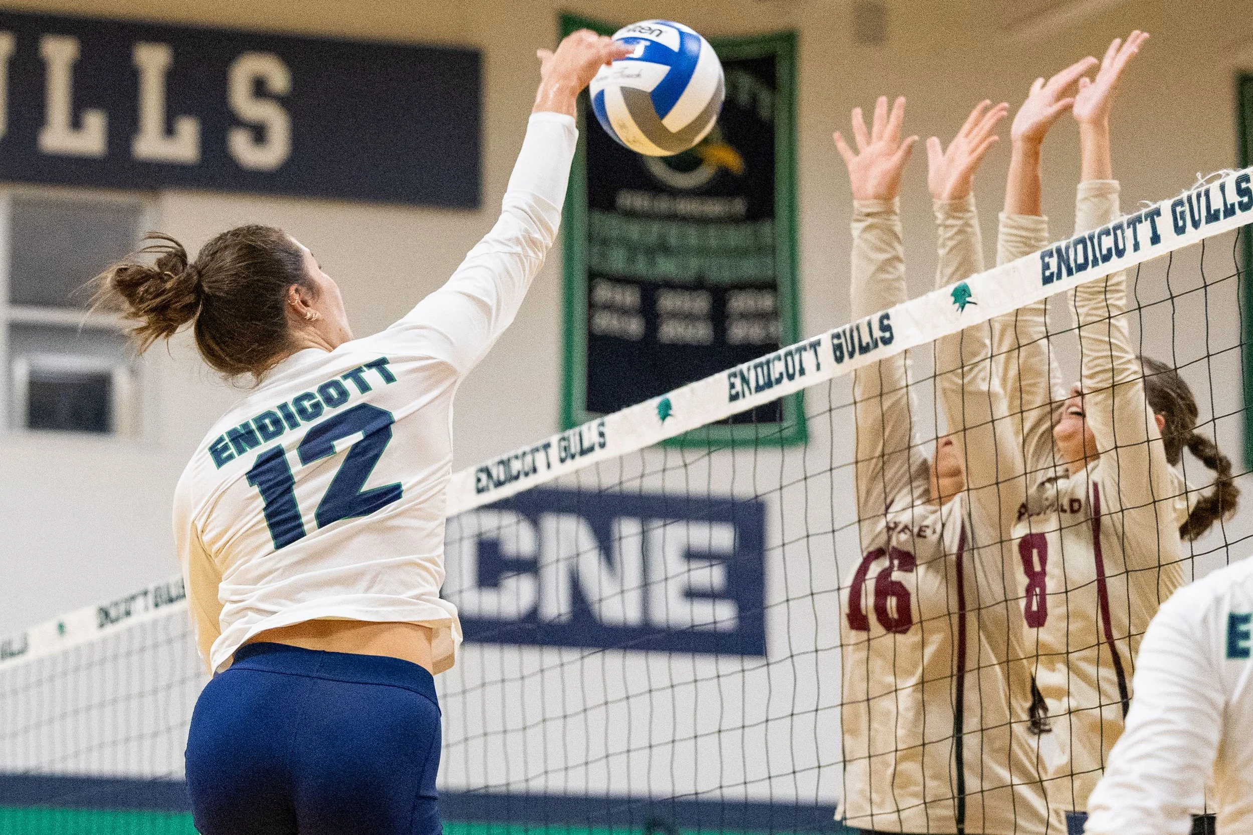 9_16_2025_GJO_WVB vs Springfield-74.JPG