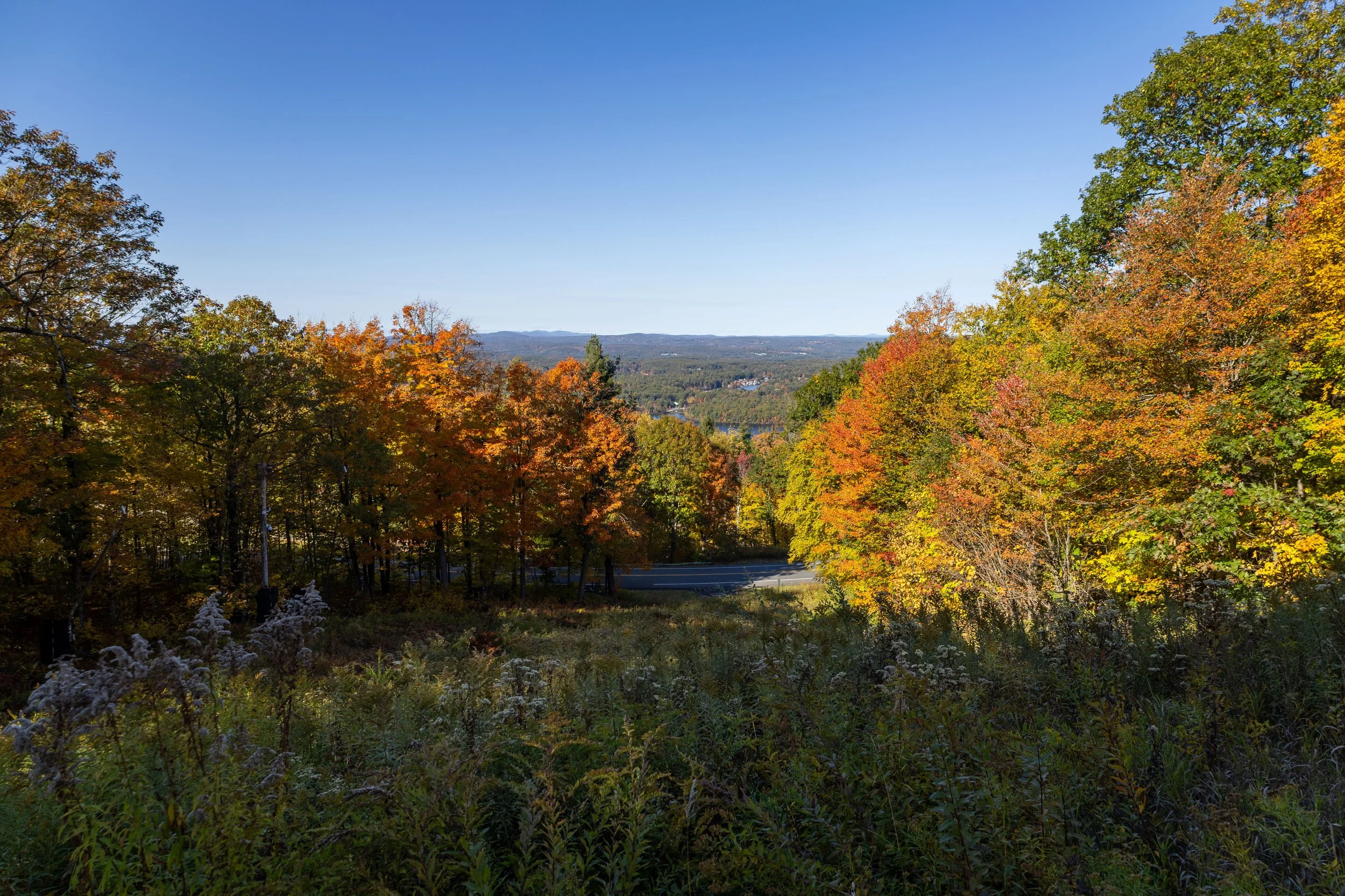 Fall Foliage Photo-22.JPG