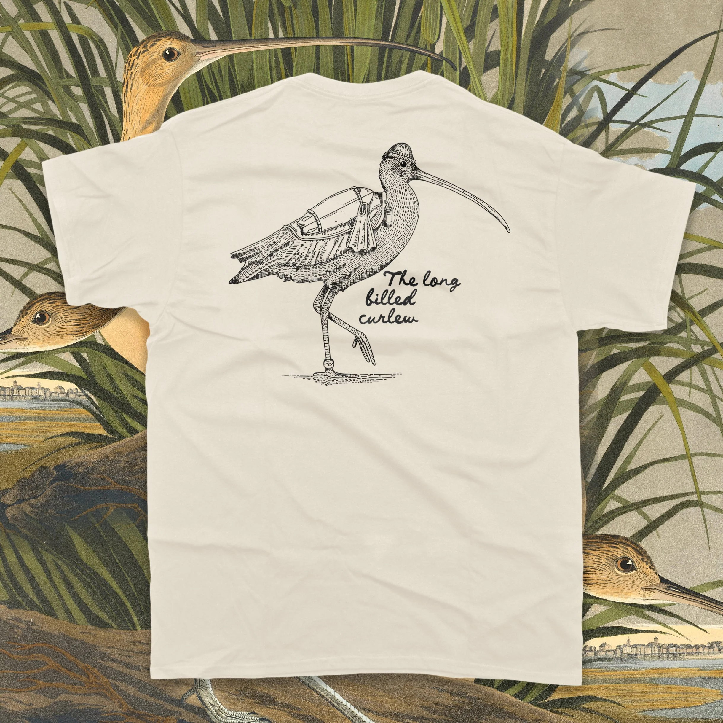 ivorycurlew.jpg