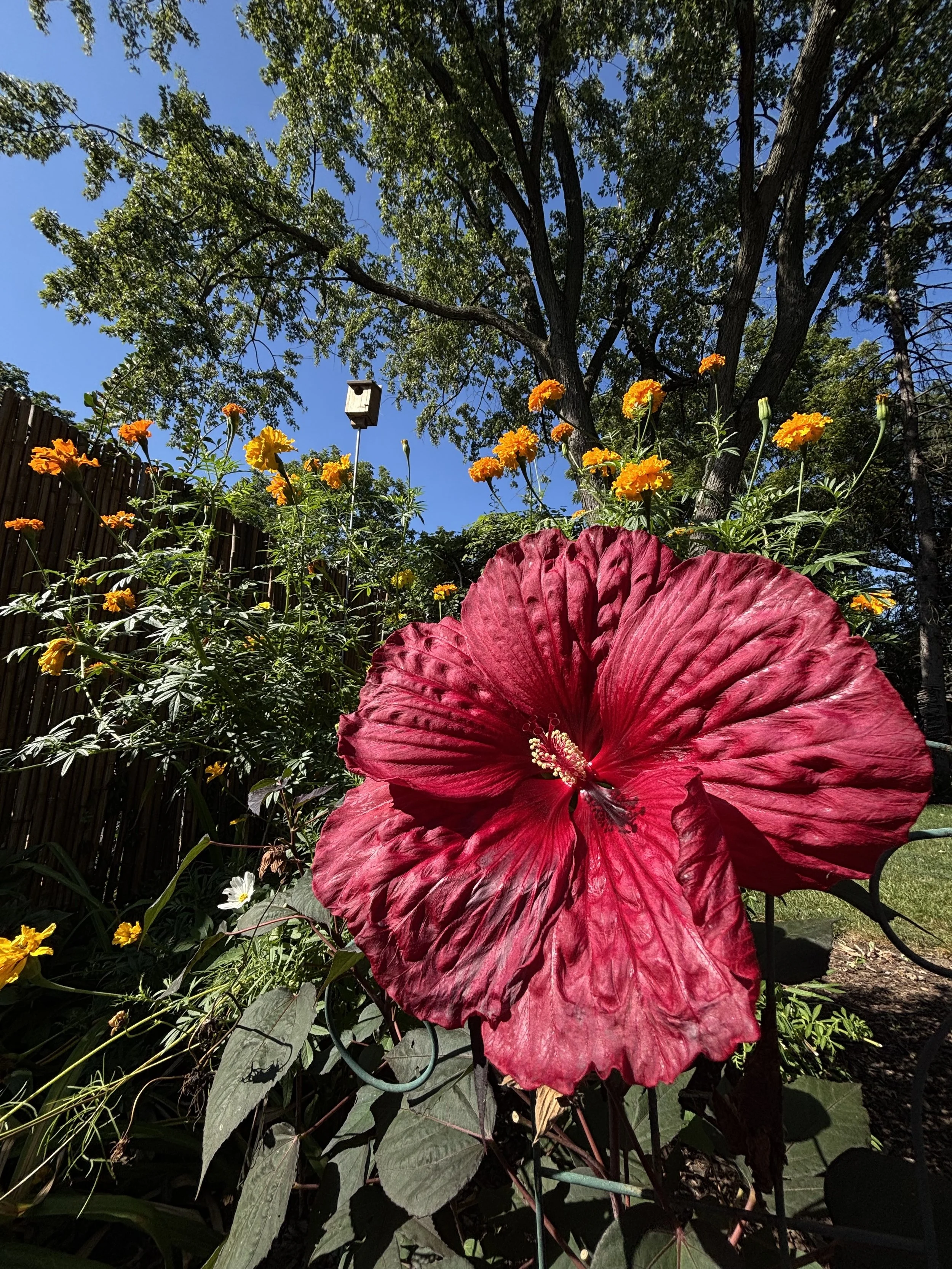 IMG_0329.jpeg