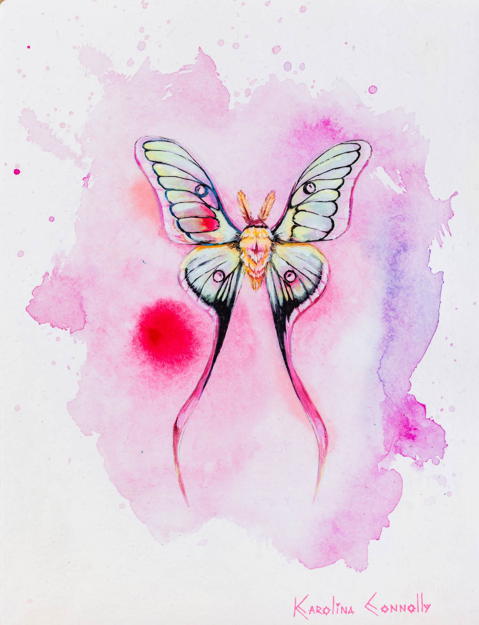 BLOG 00 2024-10-23 KAROLINA CONNOLLY ART-793.jpg