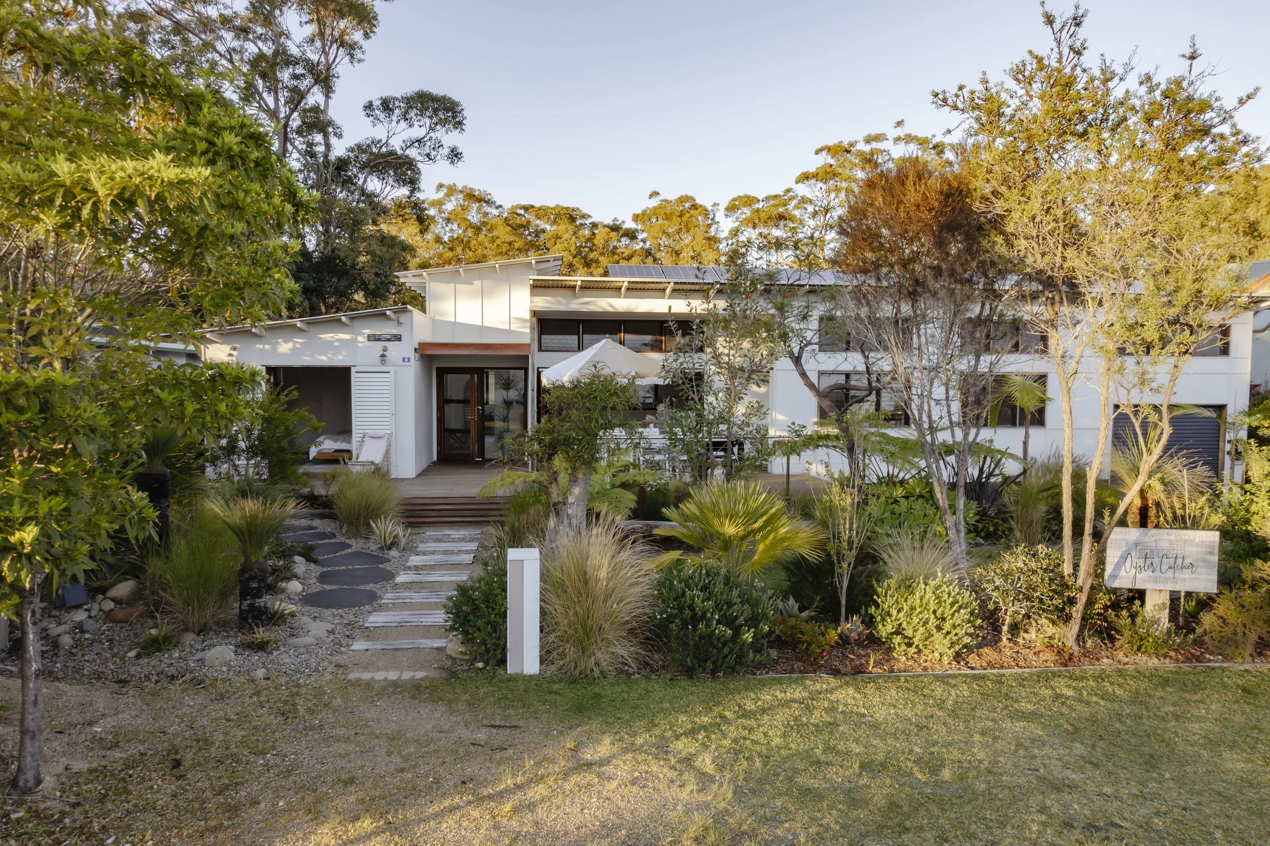 Oyster Catcher Huskisson distant