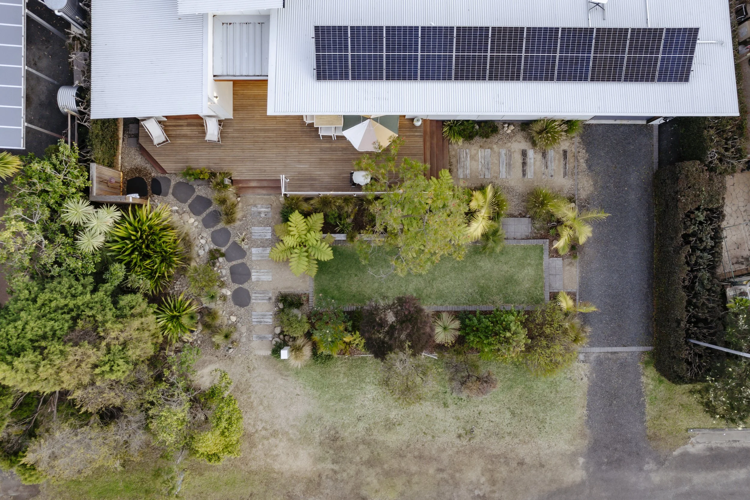 Oyster Catcher Huskisson solar
