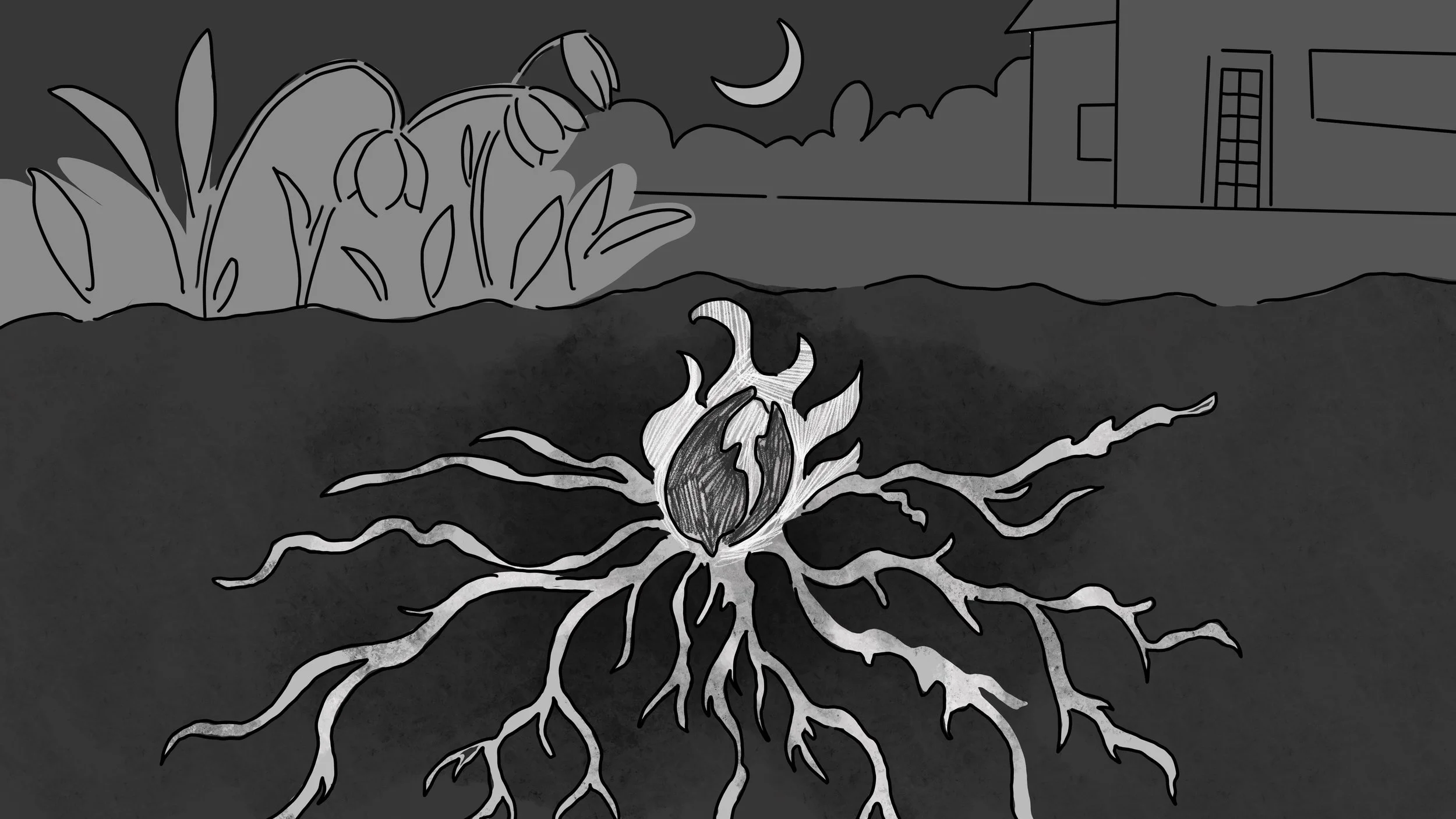 Untitled_Artwork 83.jpg