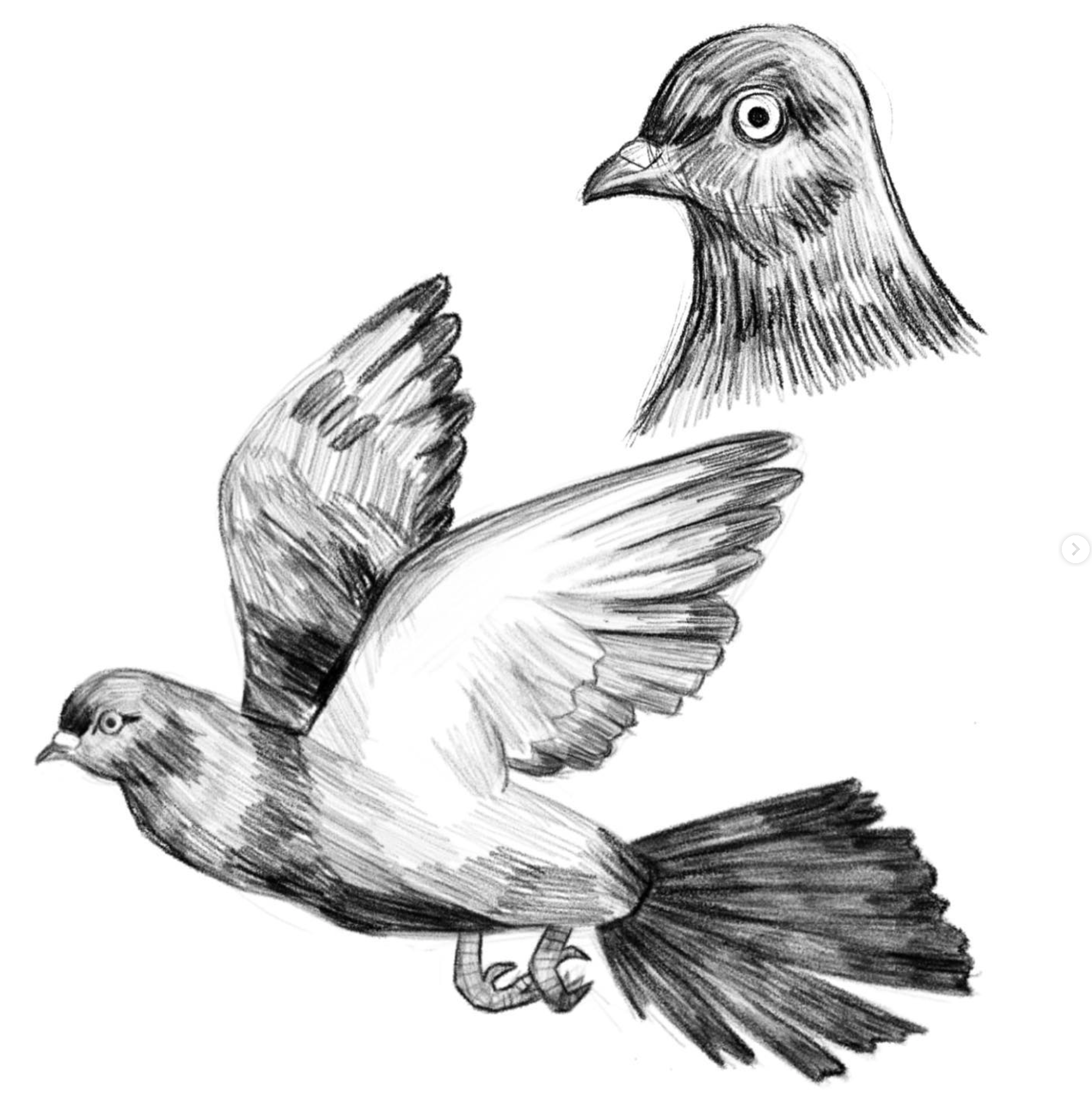 Screenshot 2024-01-22 at 11.00.18 PM.png