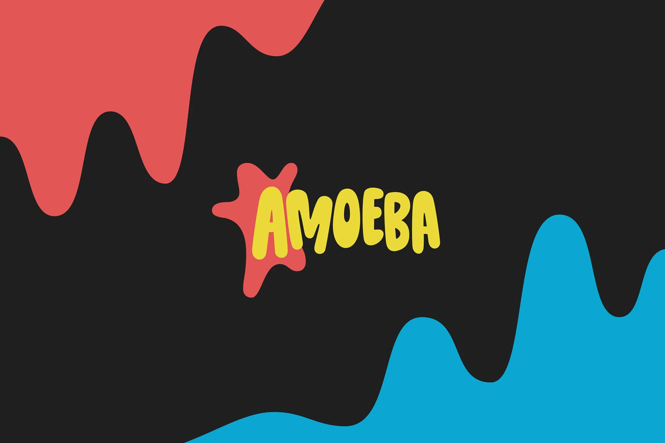 AMOEBA MUSIC