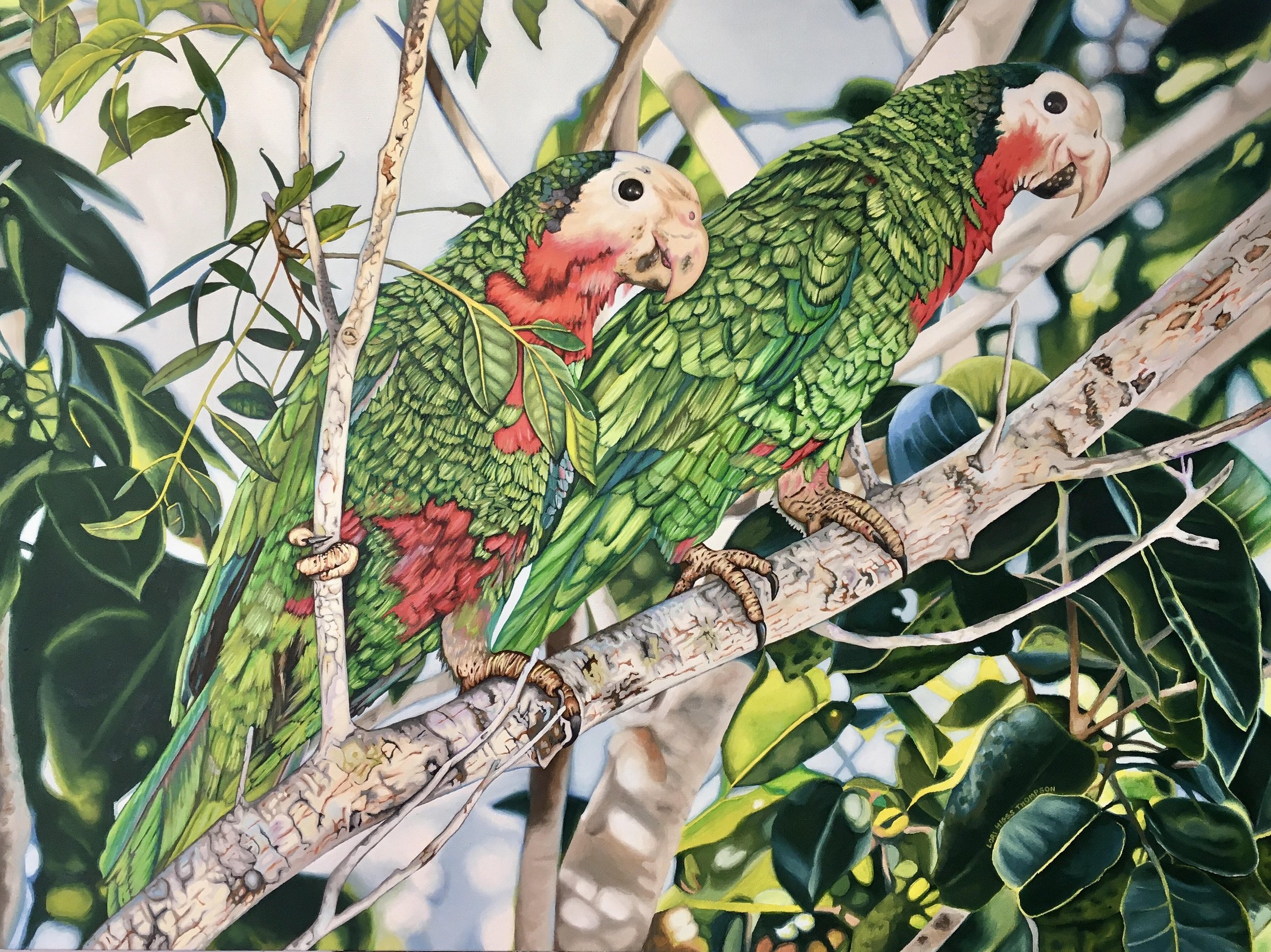 Lori Thompson - Abaco Foragers.jpeg