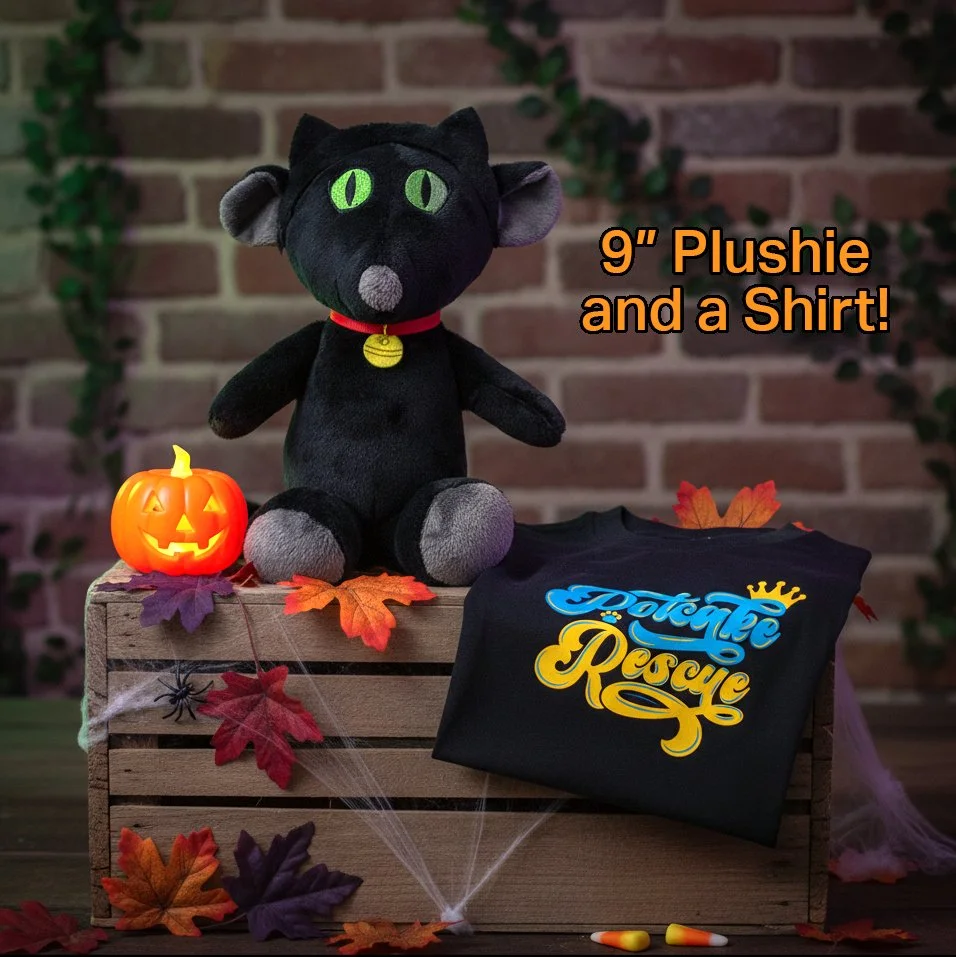 Halloween Cat Rat and Shirt Bundle.jpg