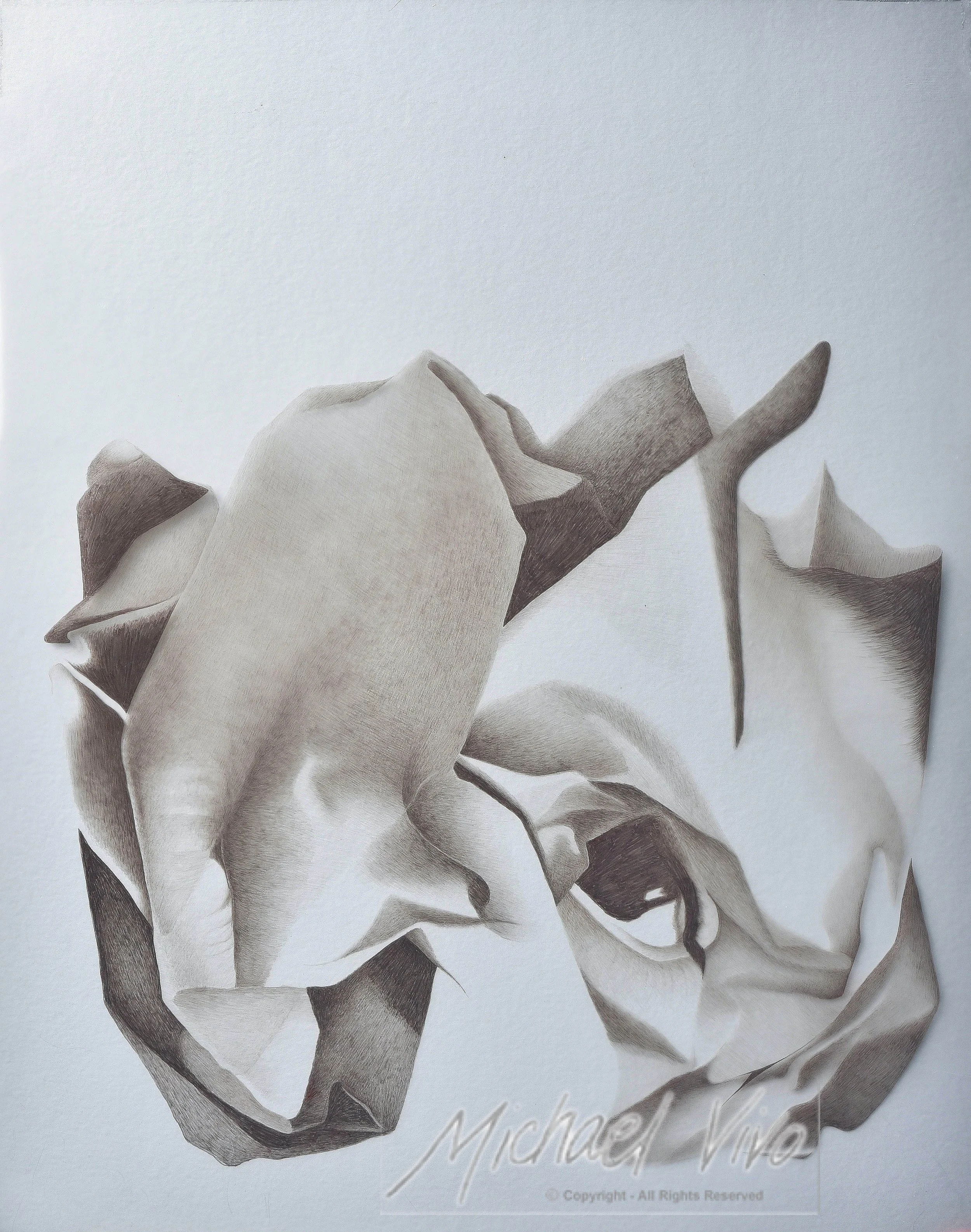 Untitled (Gnarled) 1983