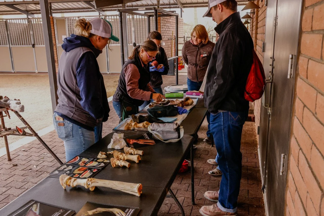 Donate to Sponsor a Student